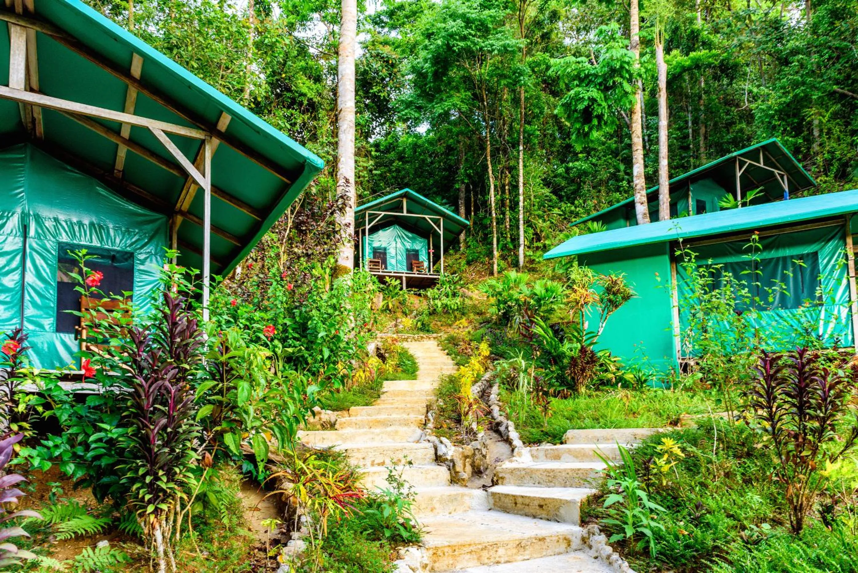 Garden view in Luna Lodge
