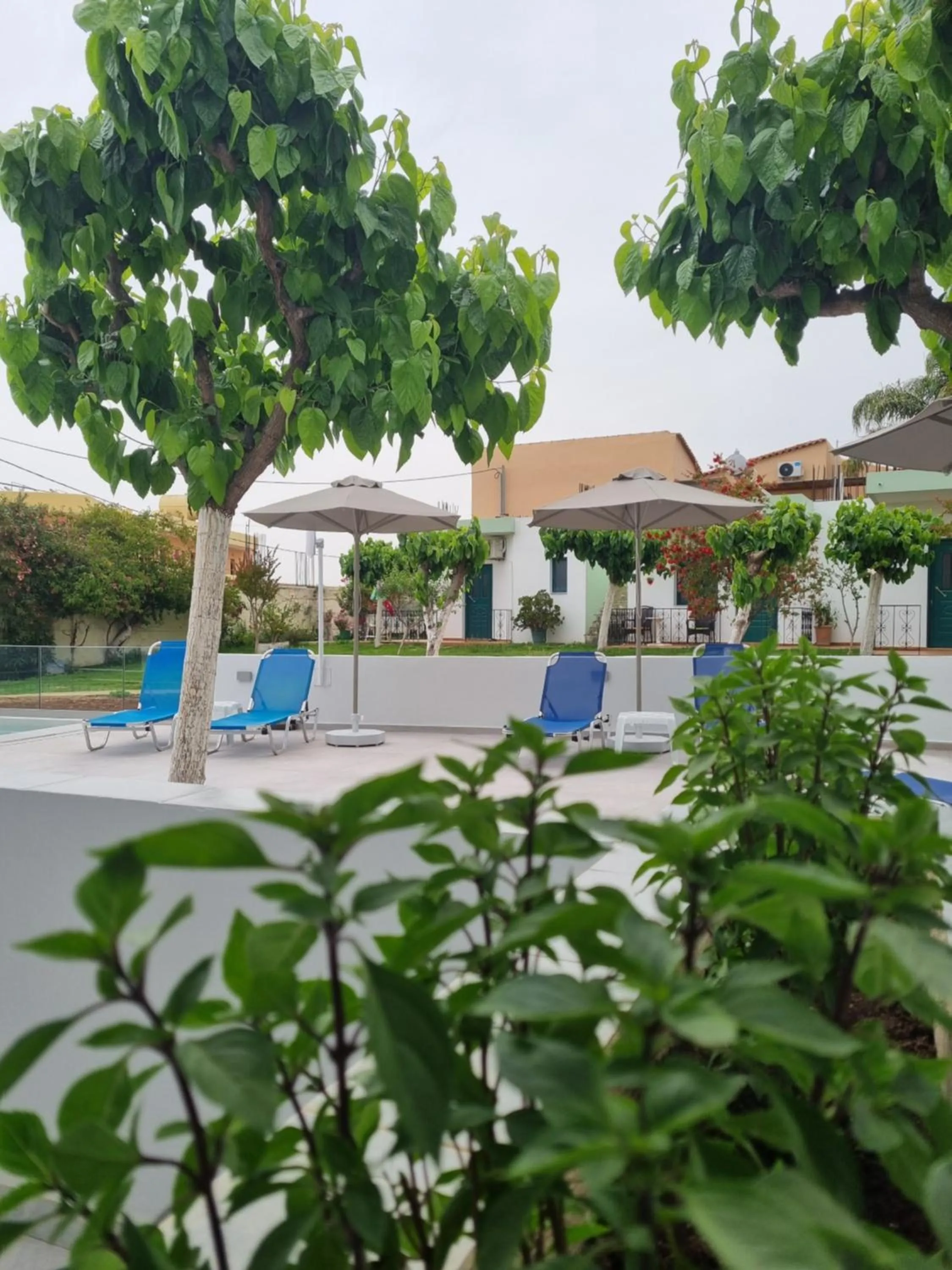 Pool view in Leonidas Studios & Apartments