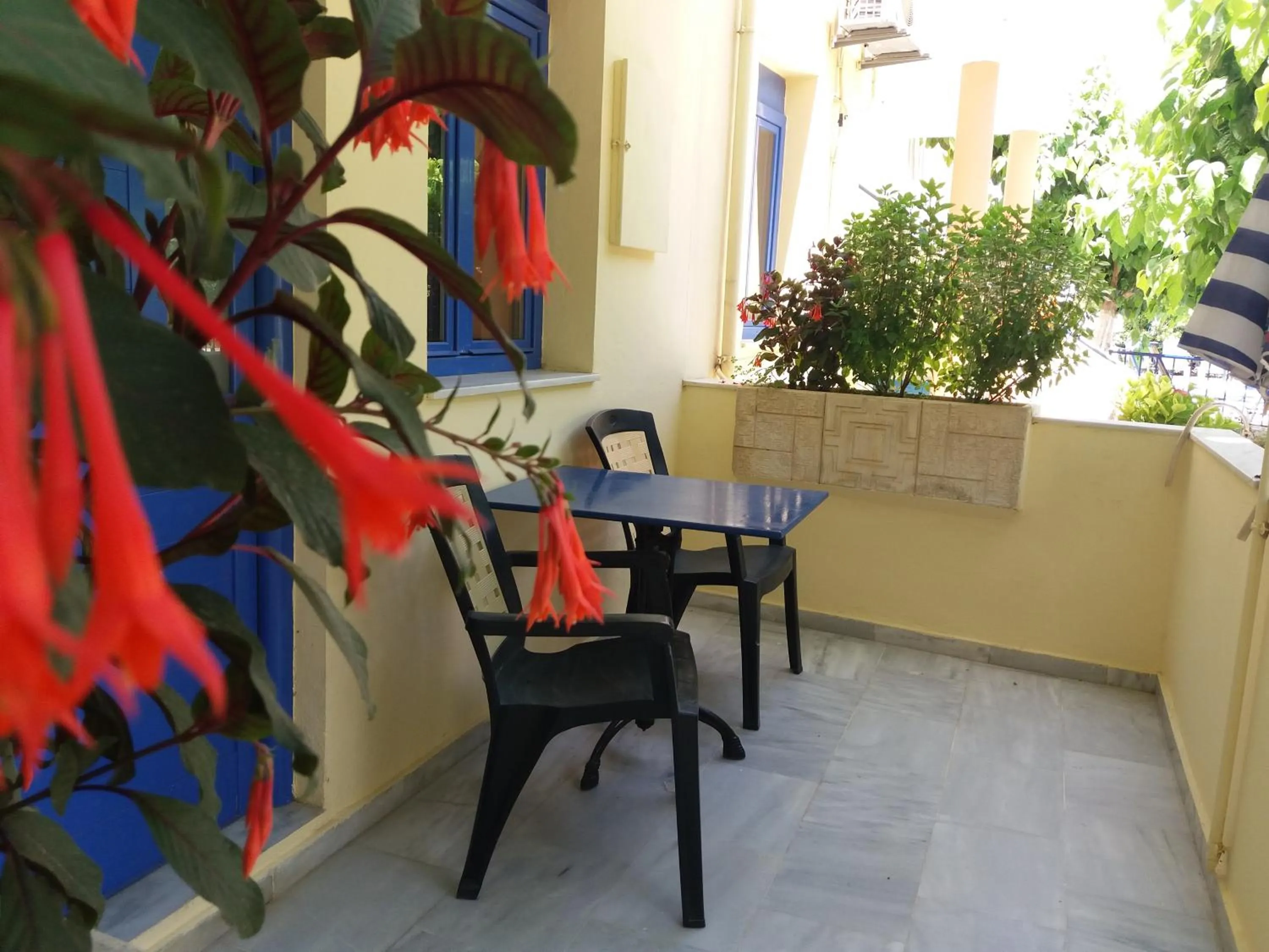 Balcony/Terrace in Leonidas Studios & Apartments