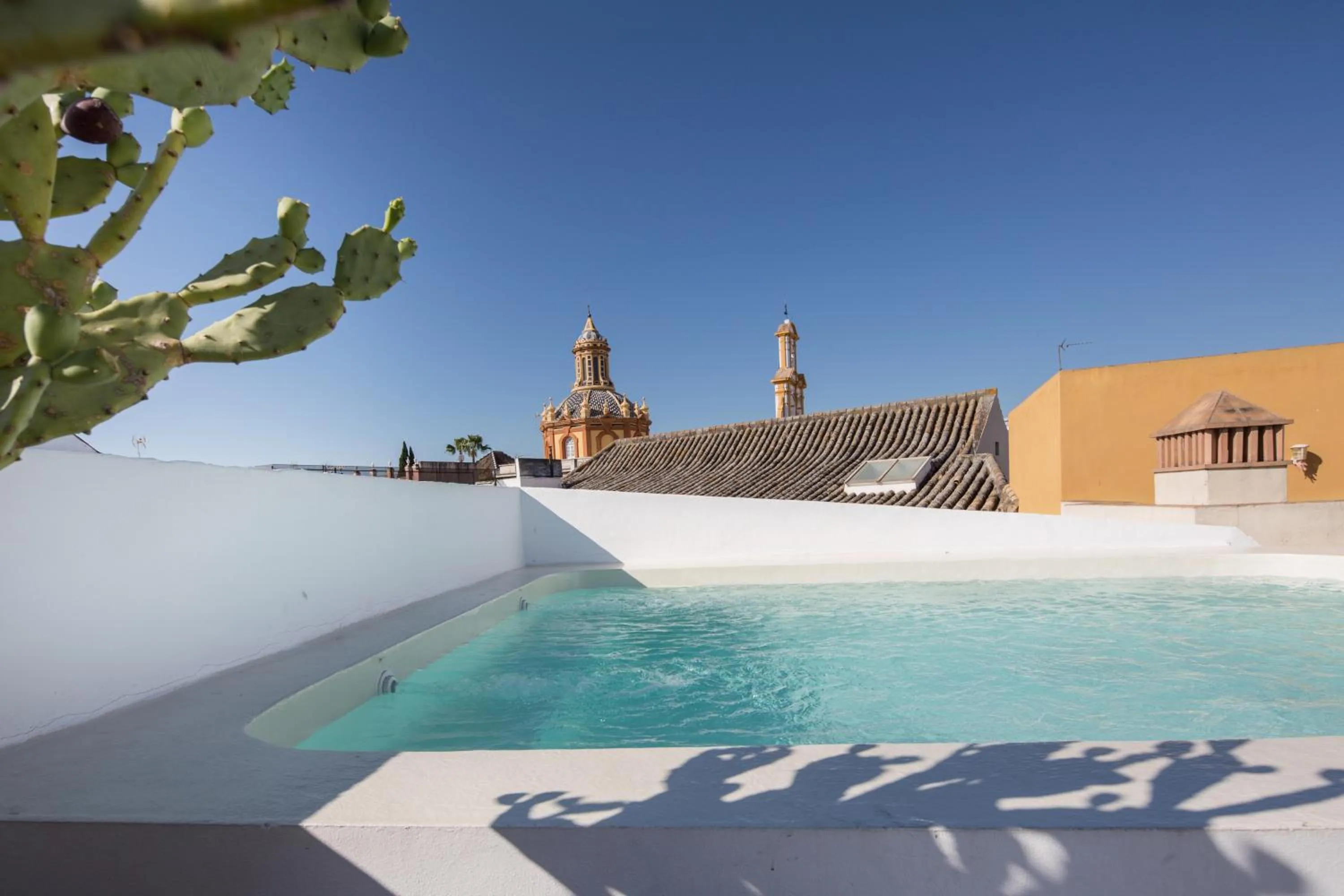 Area and facilities in MDD4 Health Experience Hotel - Adults Only