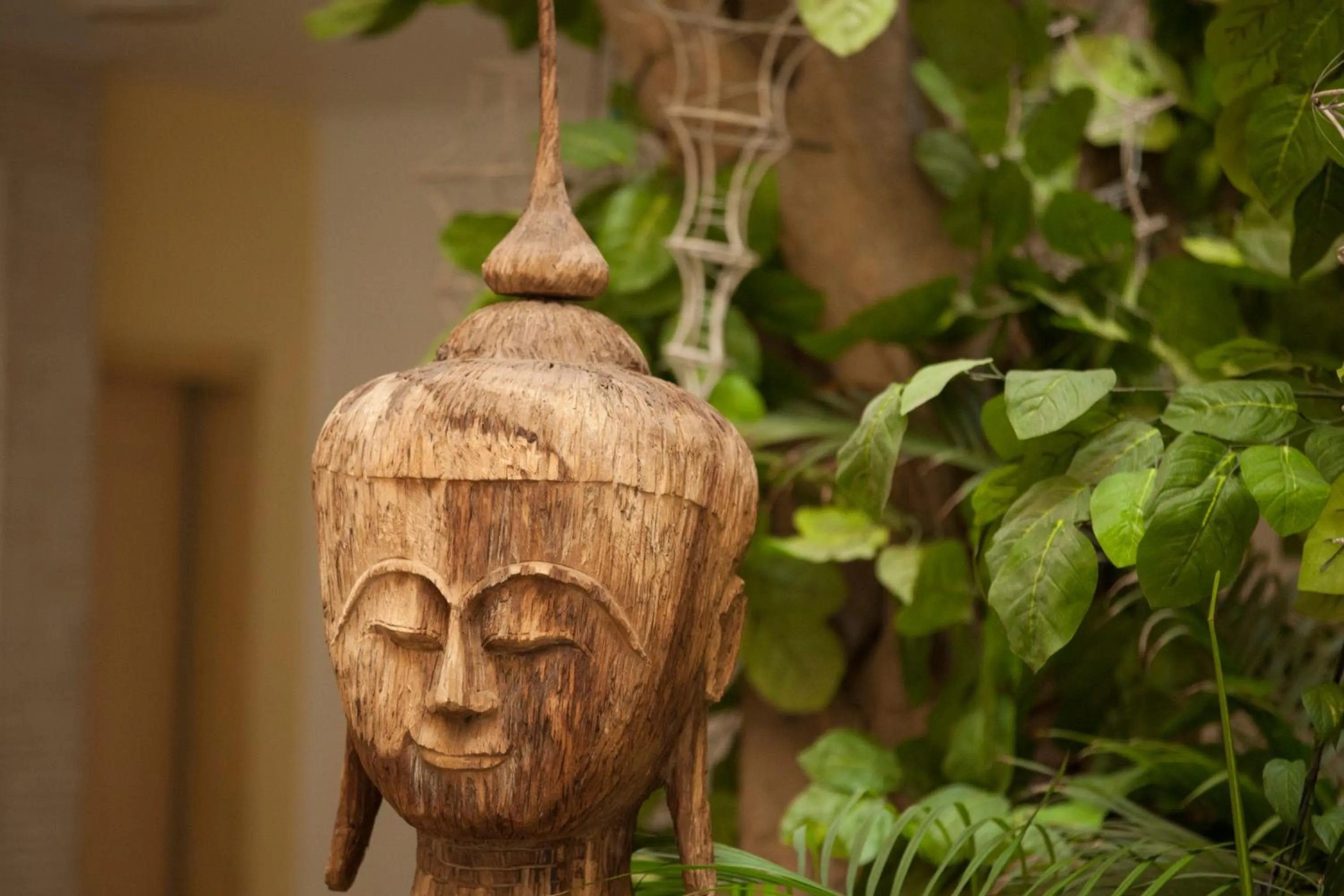 Garden in Avalon Courtyard Residence Suites