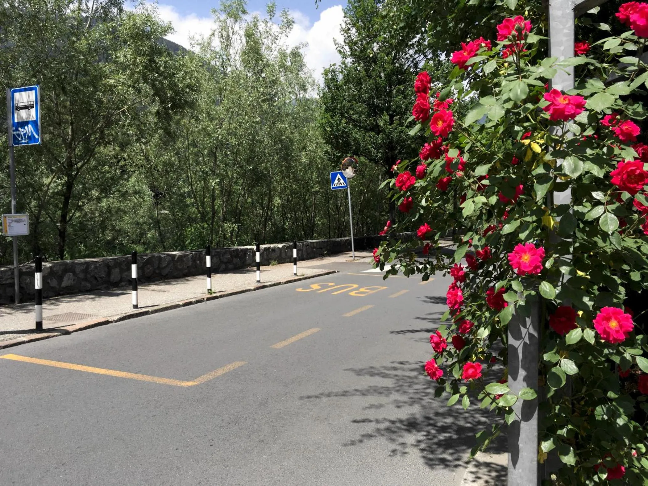 Neighbourhood in Residence Isarcus