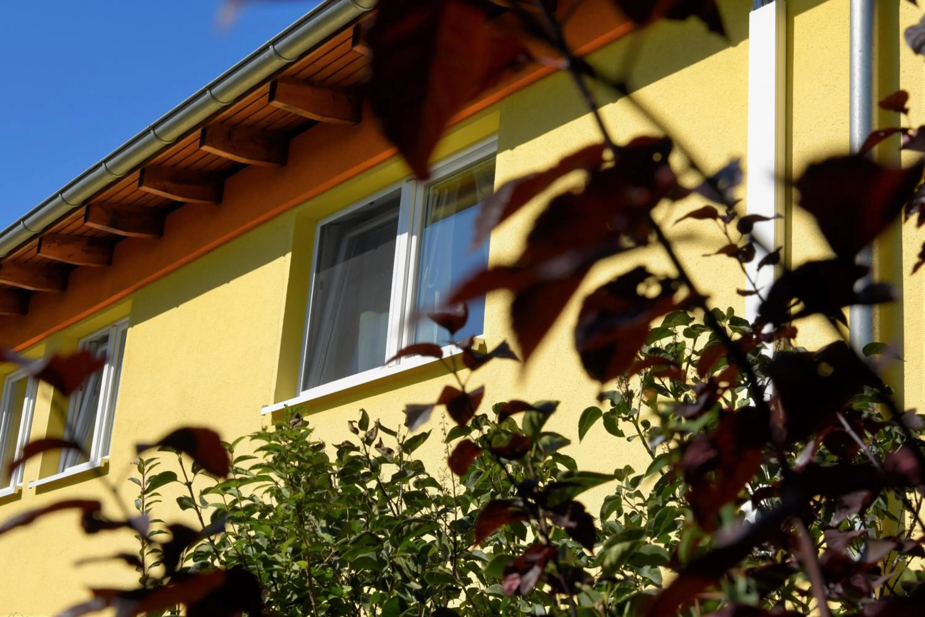 Property building in Appartement Vermietung Brunner