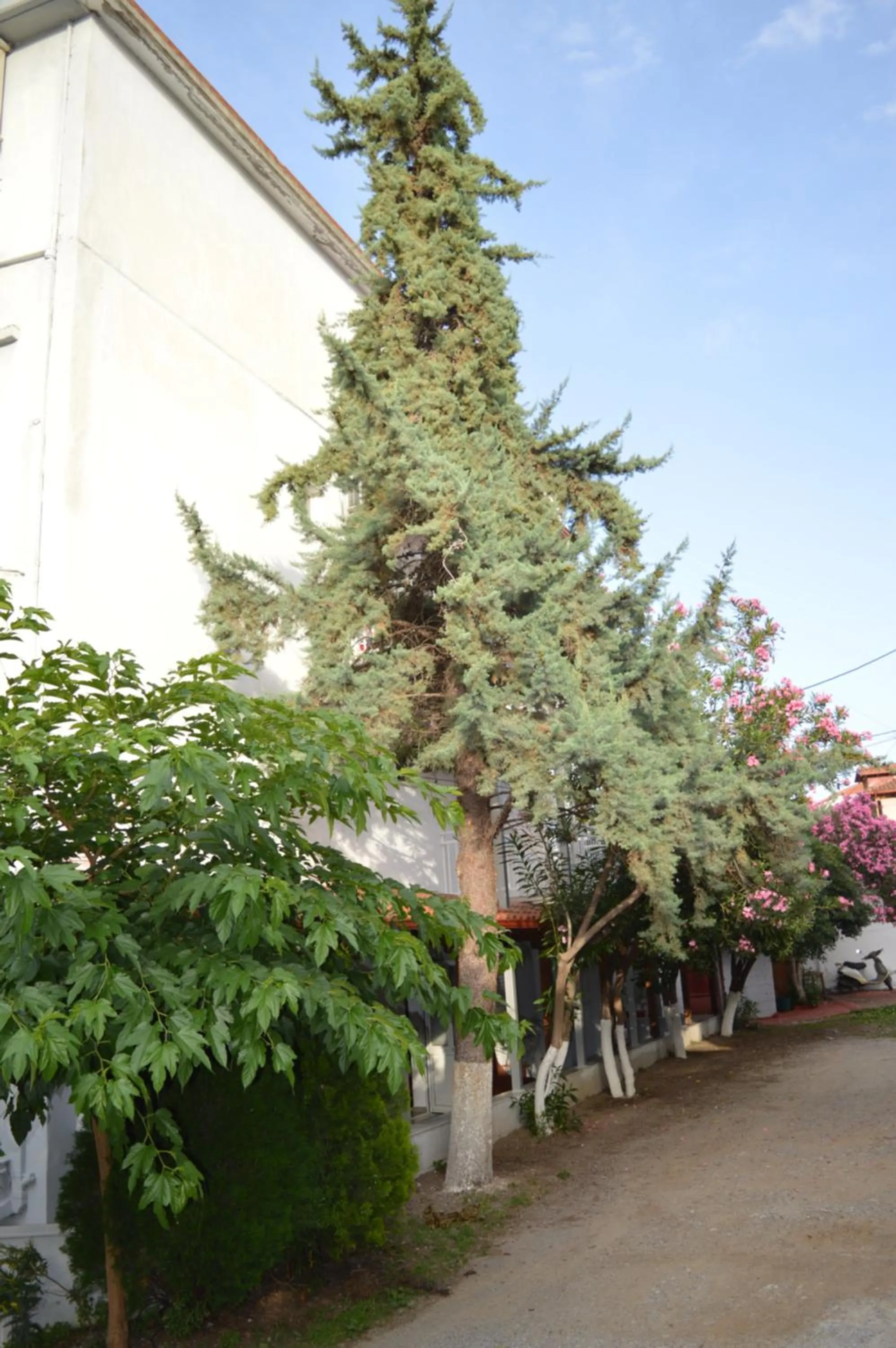 Floor plan in Galanis Studios and Apartments