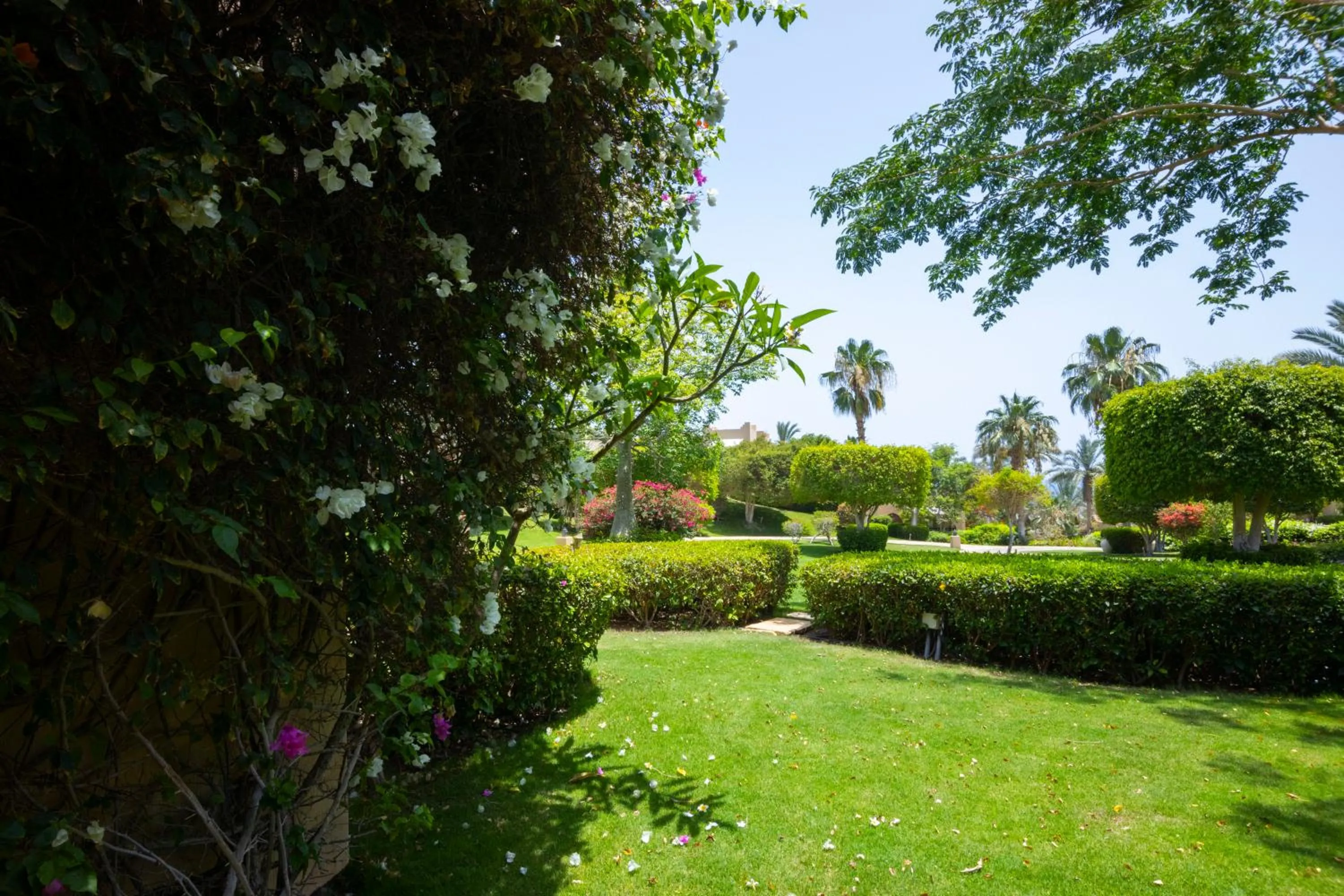 Natural landscape in Four Seasons Resort Sharm El Sheikh Private Residential Villa & Chalet - Egypt