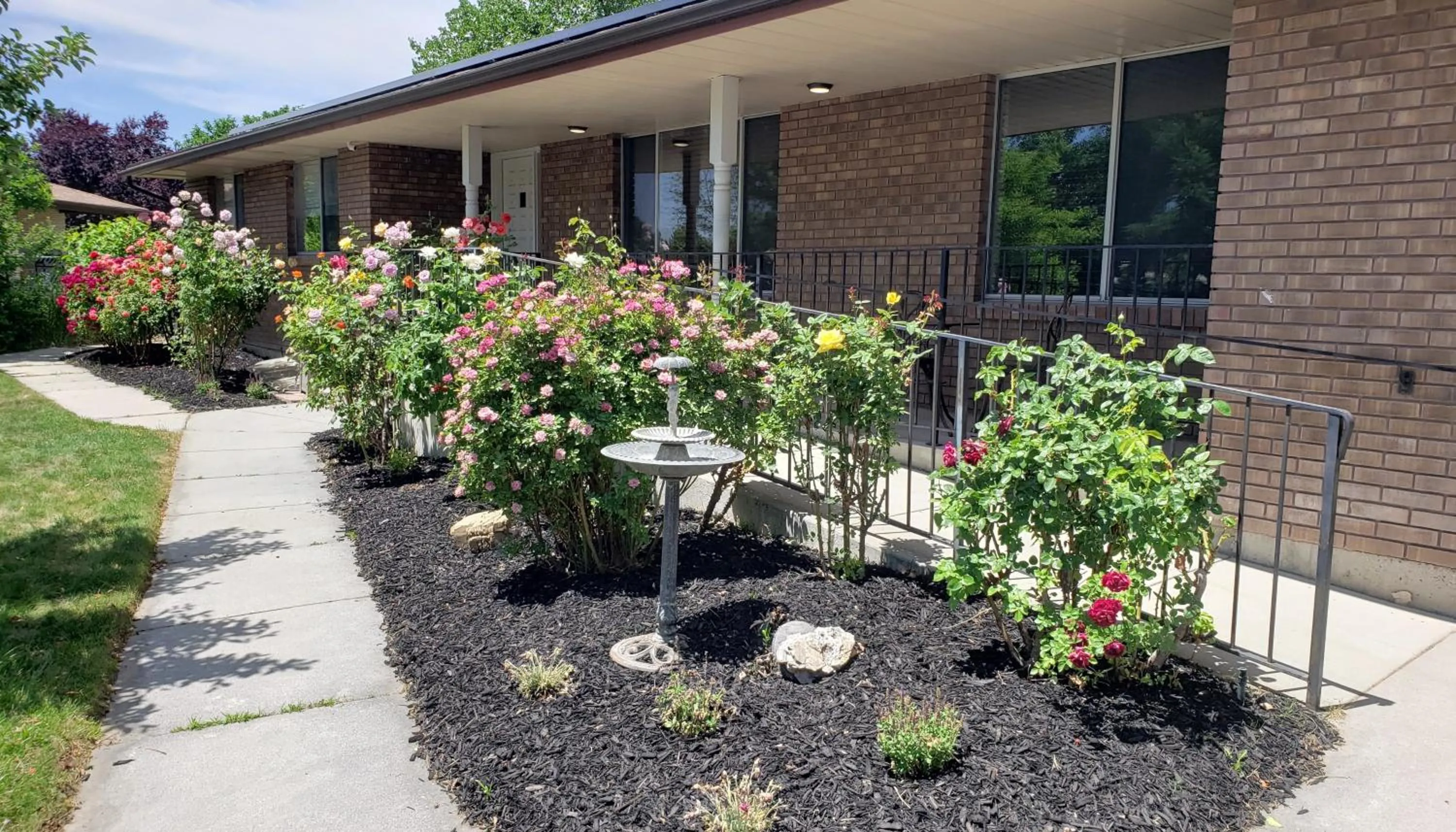 Property building in The Orchard