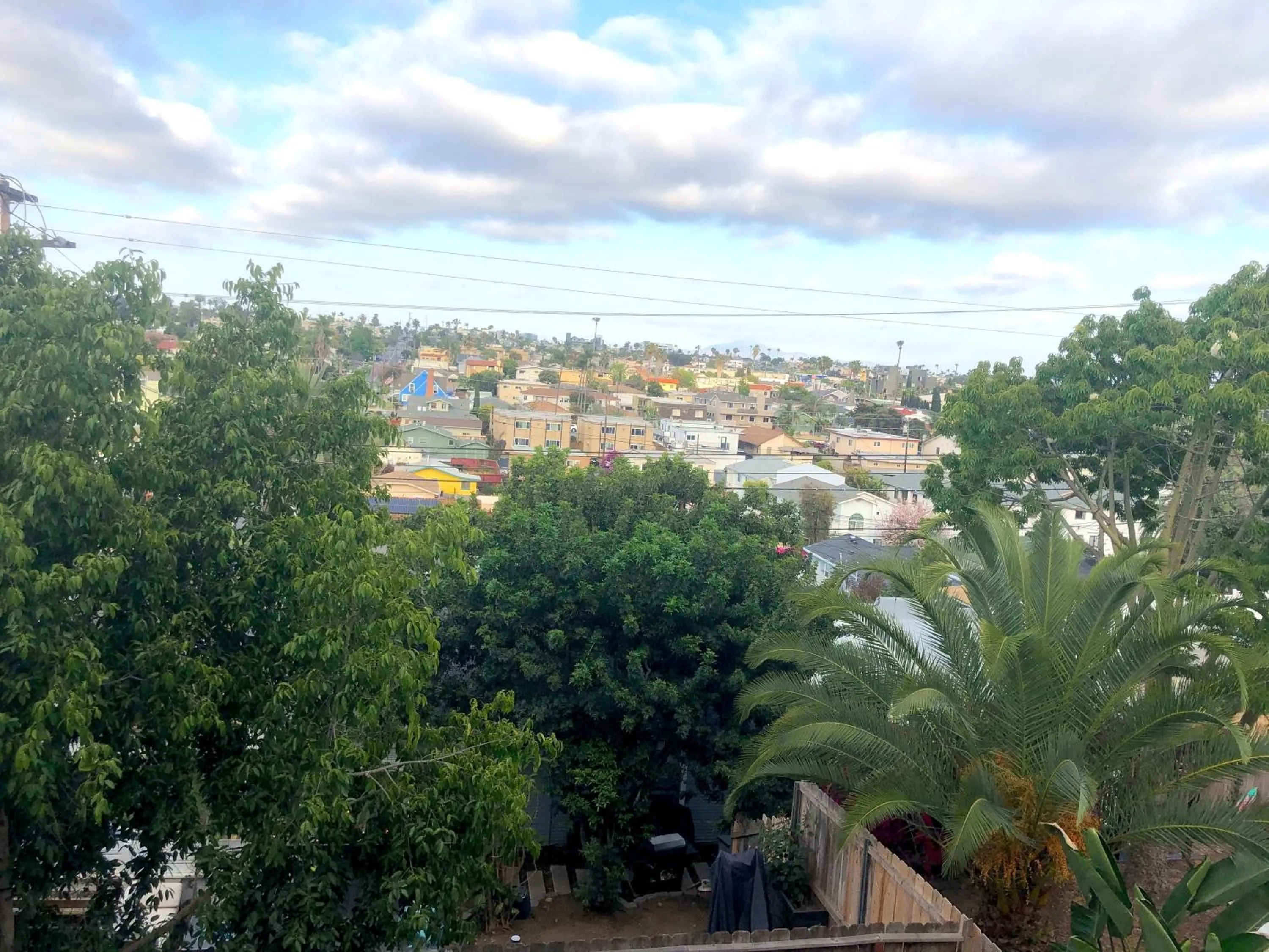 City view in Viva San Diego