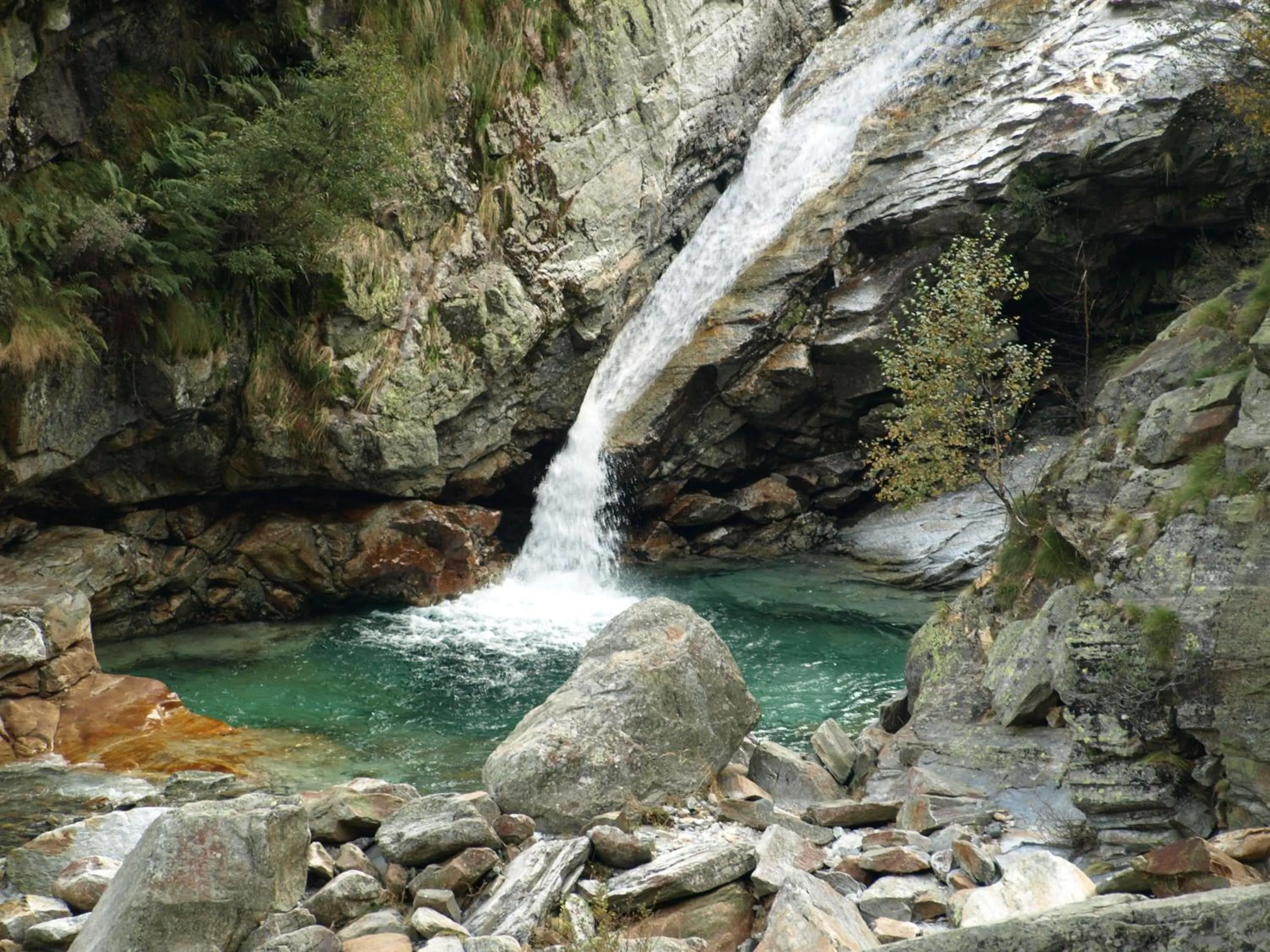 Area and facilities in Hotel Pizzo Vogorno