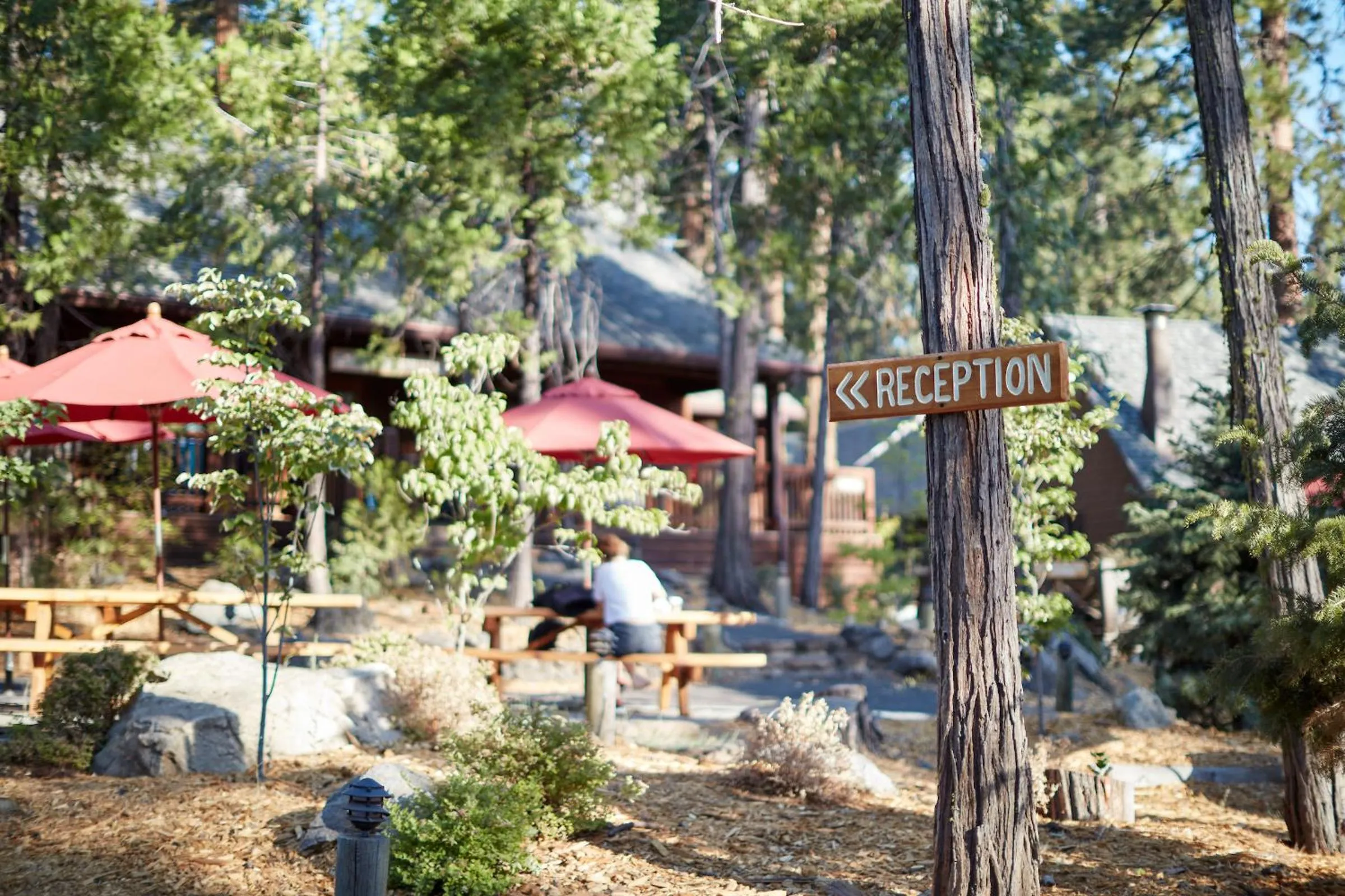 Property logo or sign in Evergreen Lodge at Yosemite