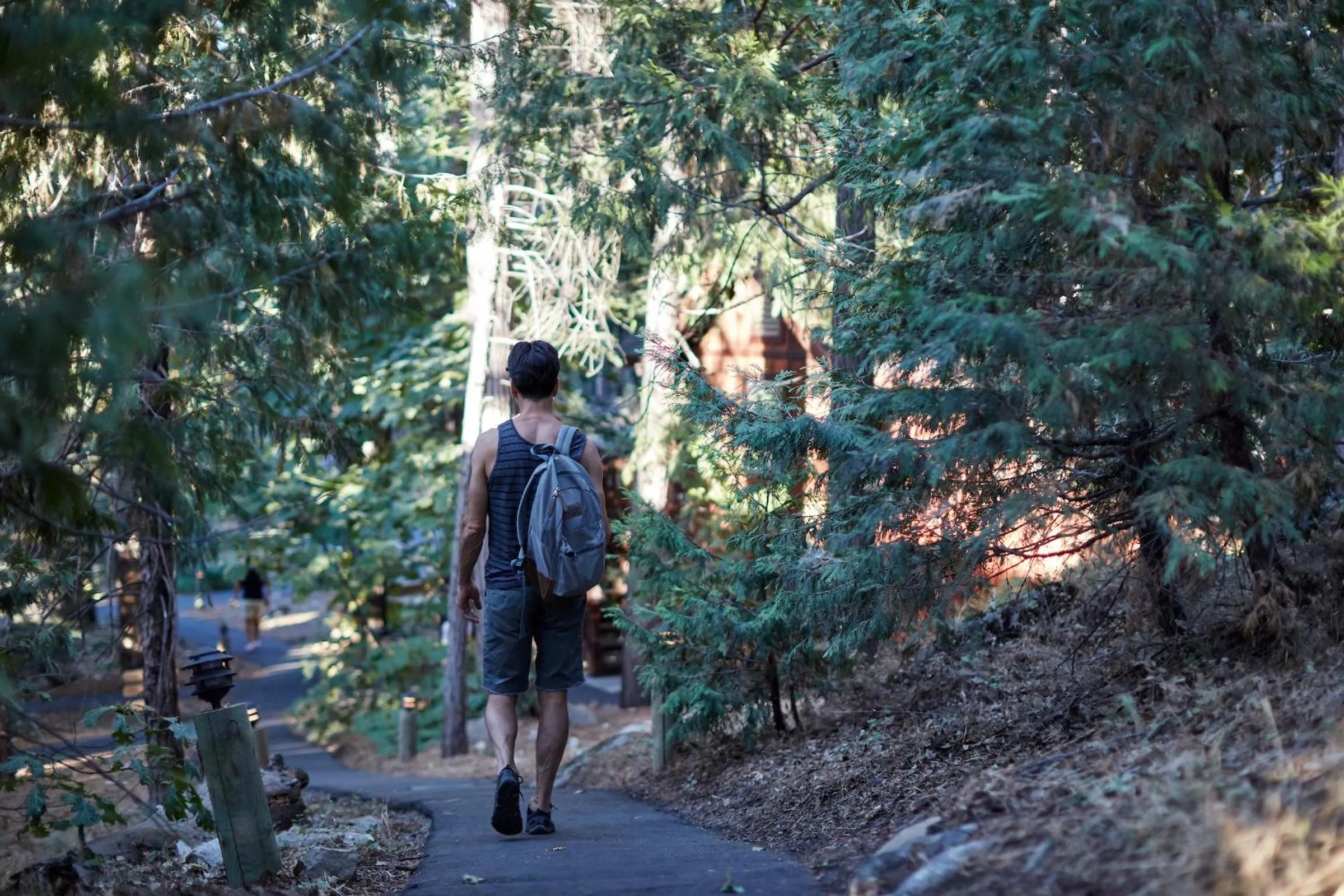 People in Evergreen Lodge at Yosemite