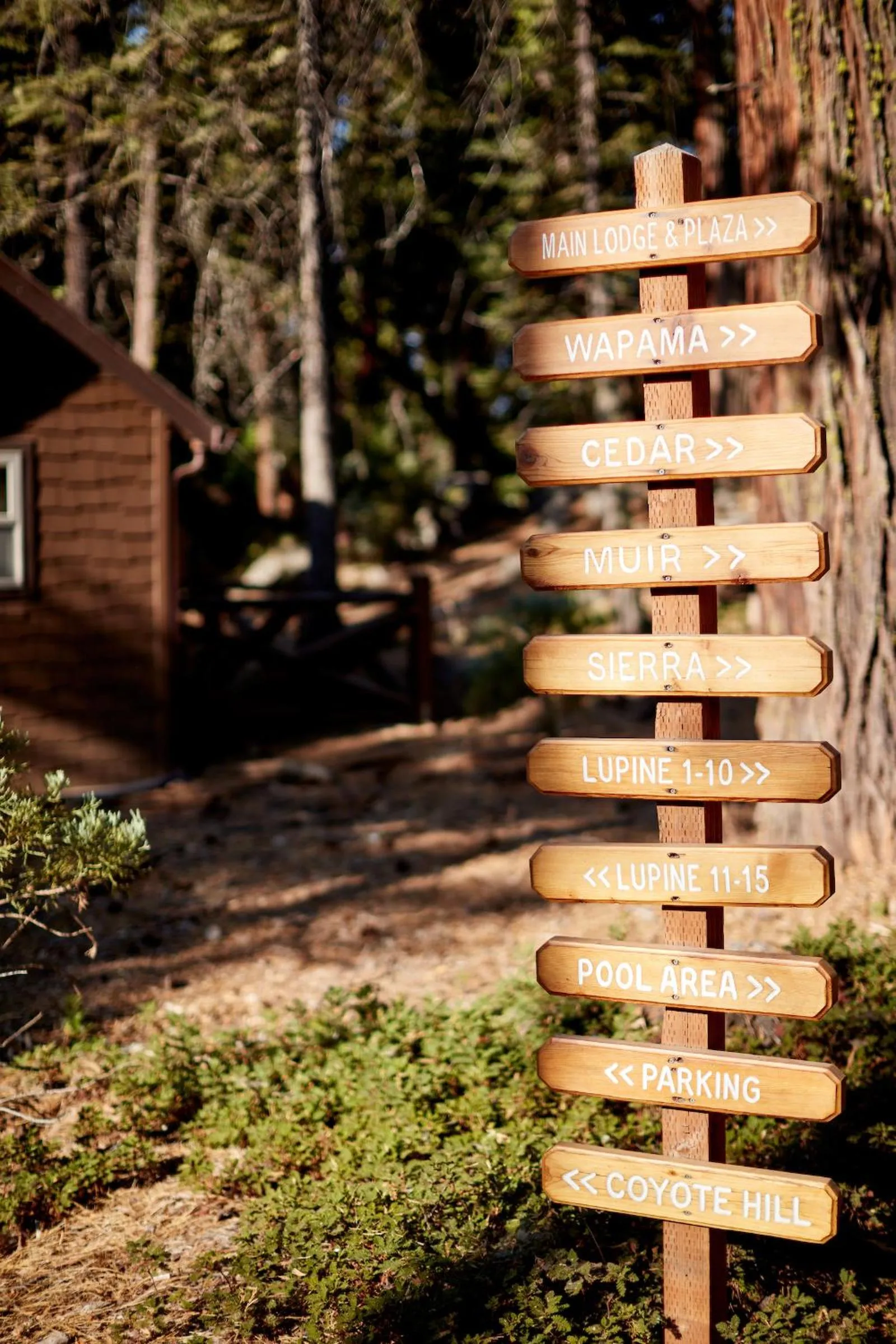 Property logo or sign in Evergreen Lodge at Yosemite