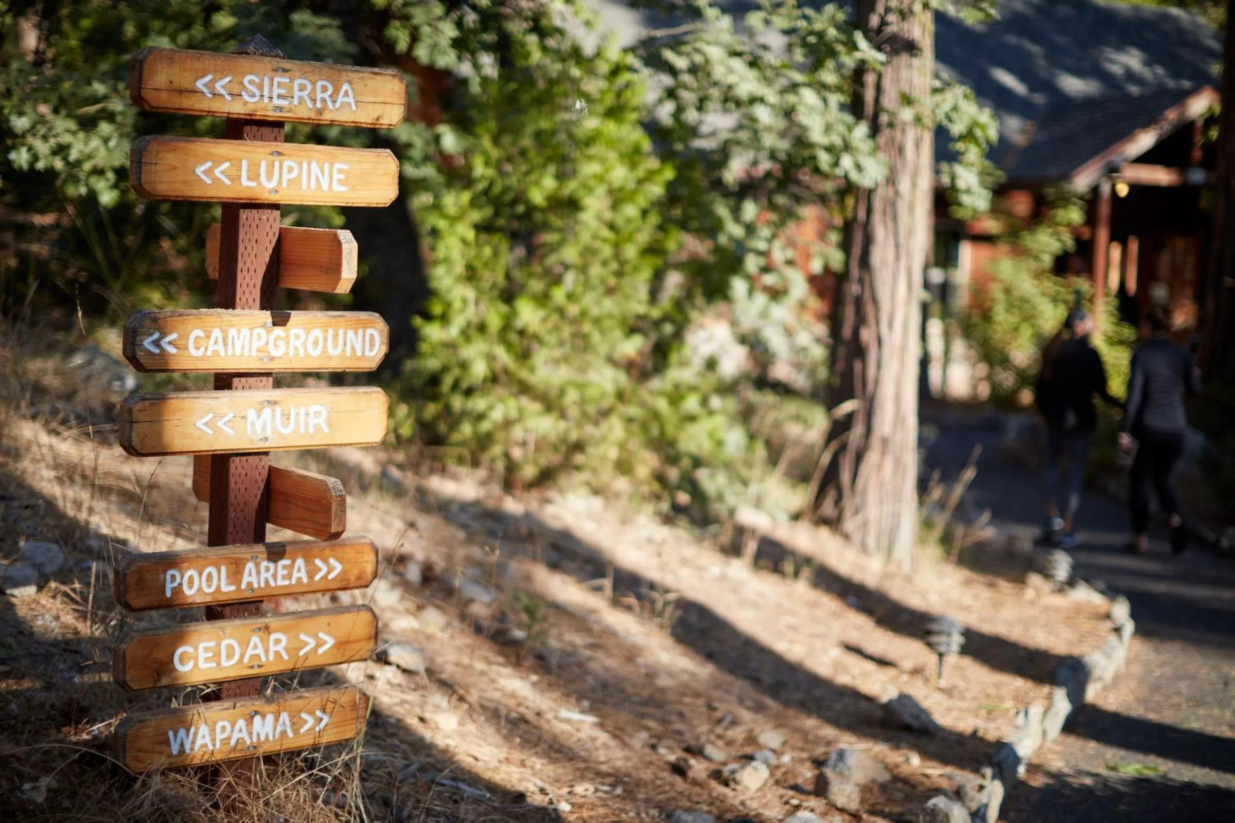 Property logo or sign in Evergreen Lodge at Yosemite