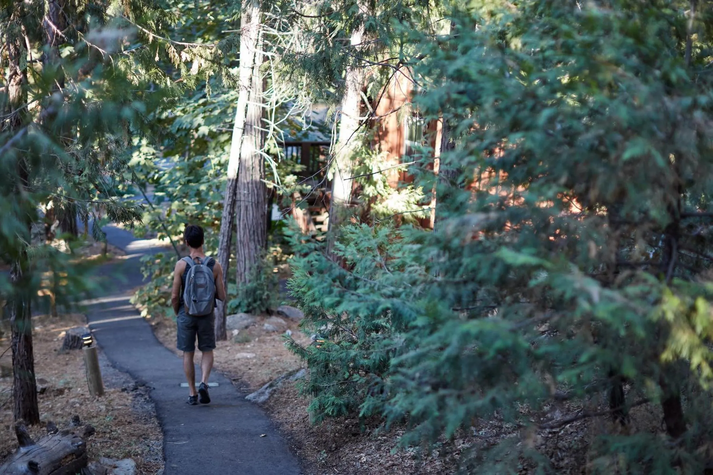 Hiking in Evergreen Lodge at Yosemite