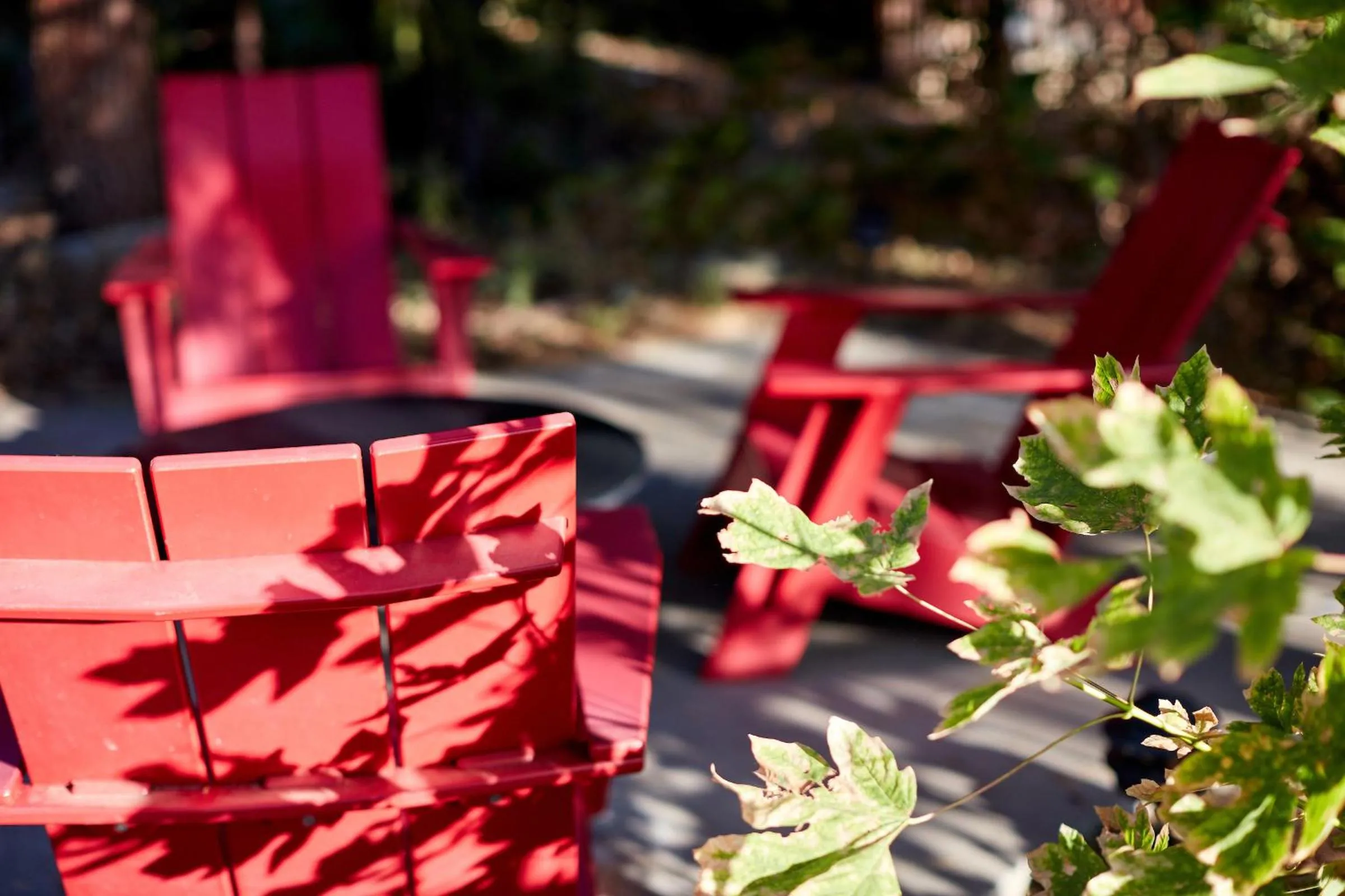 Seating area in Evergreen Lodge at Yosemite