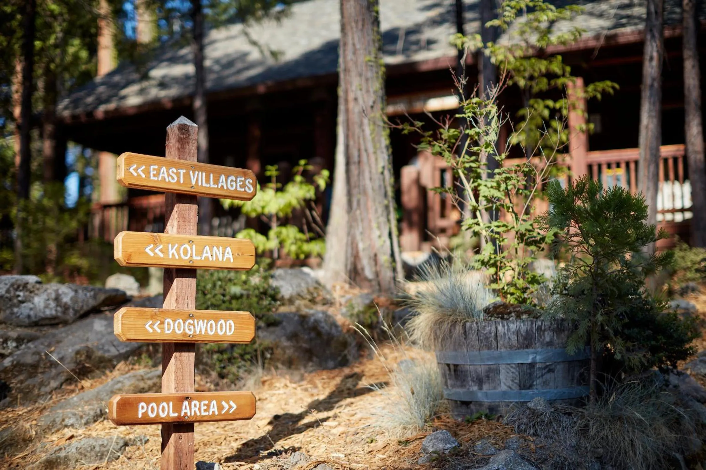 Property logo or sign in Evergreen Lodge at Yosemite