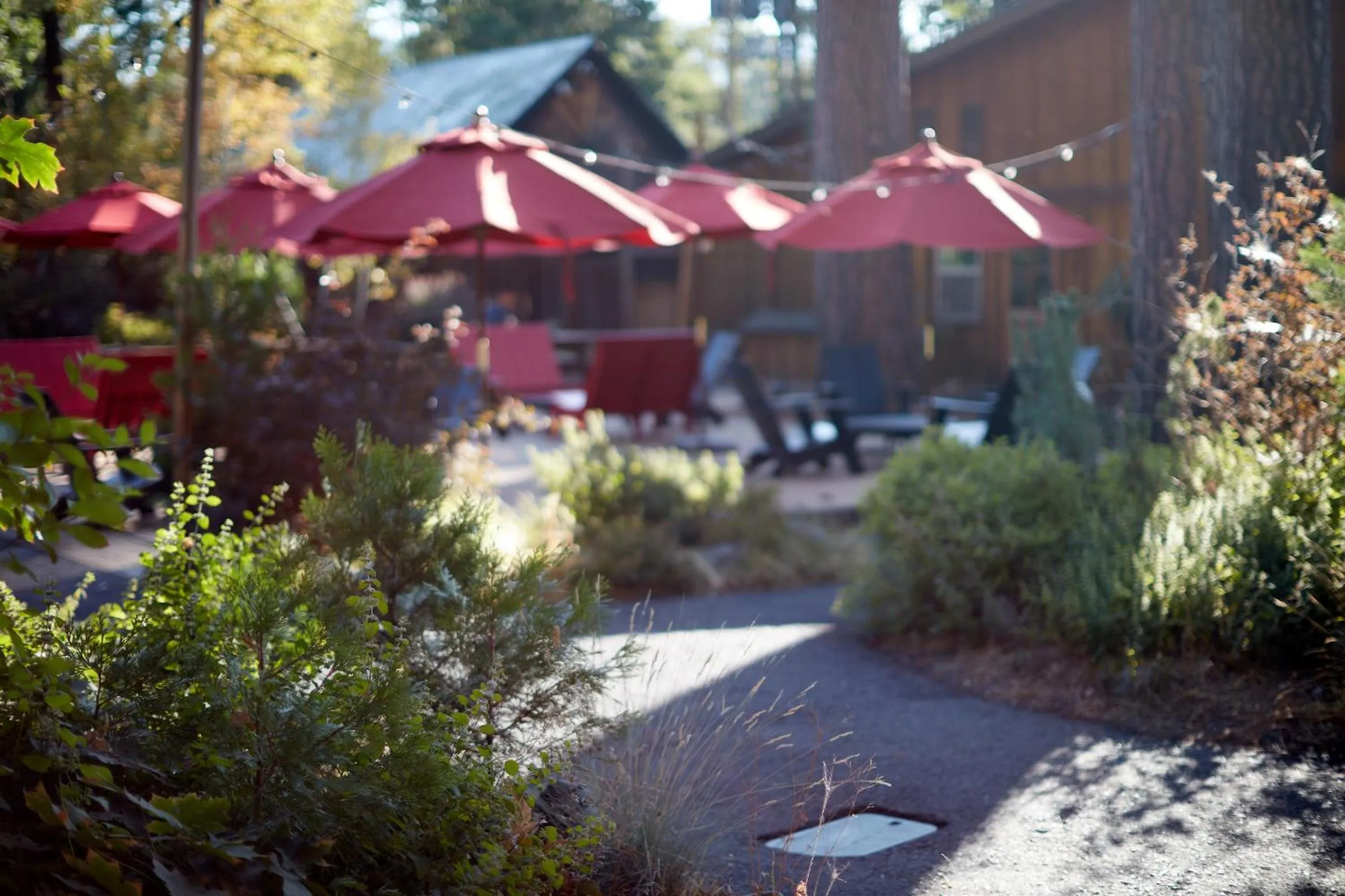Area and facilities in Evergreen Lodge at Yosemite