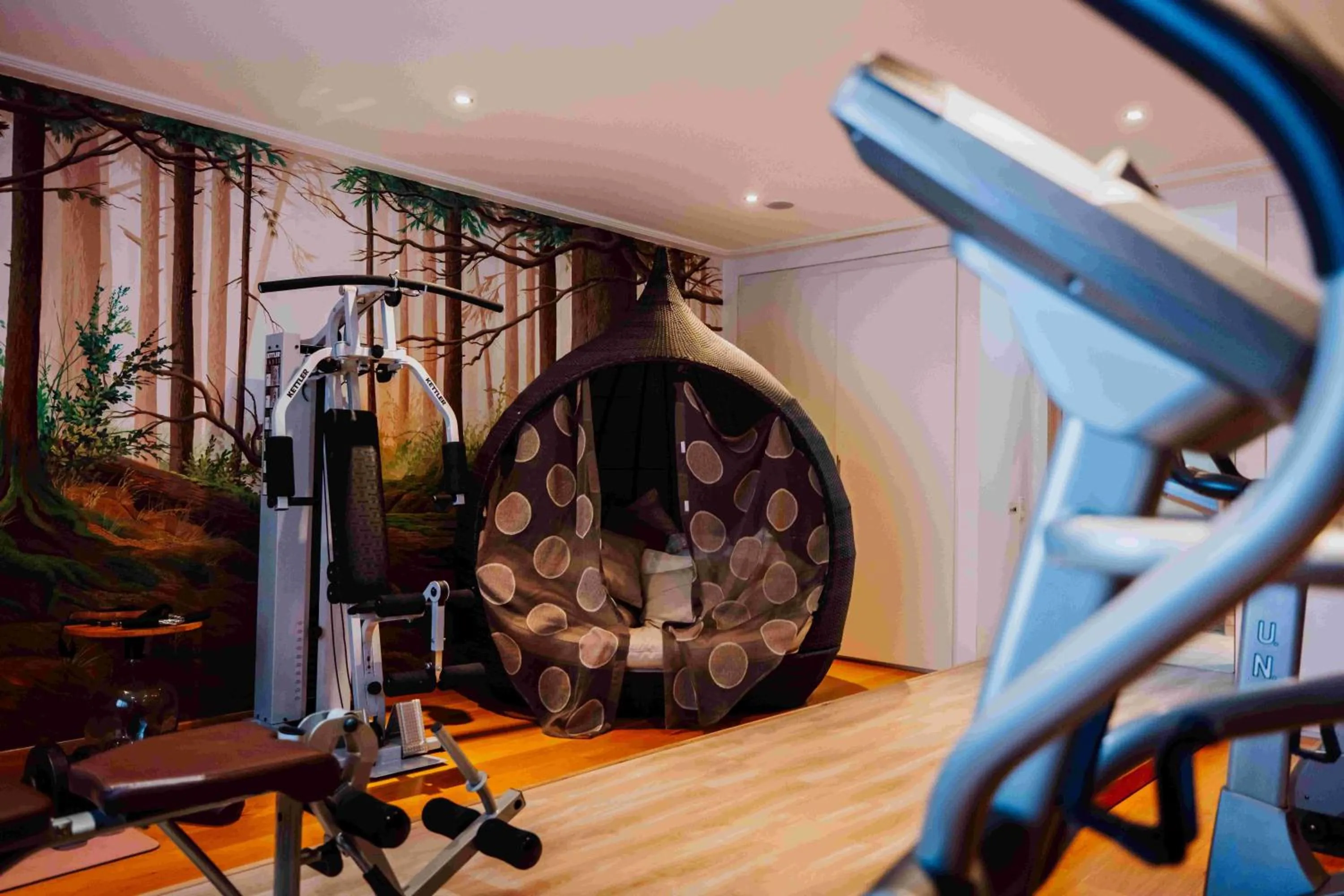 Fitness centre/facilities in Hotel in the HEART of the Alps
