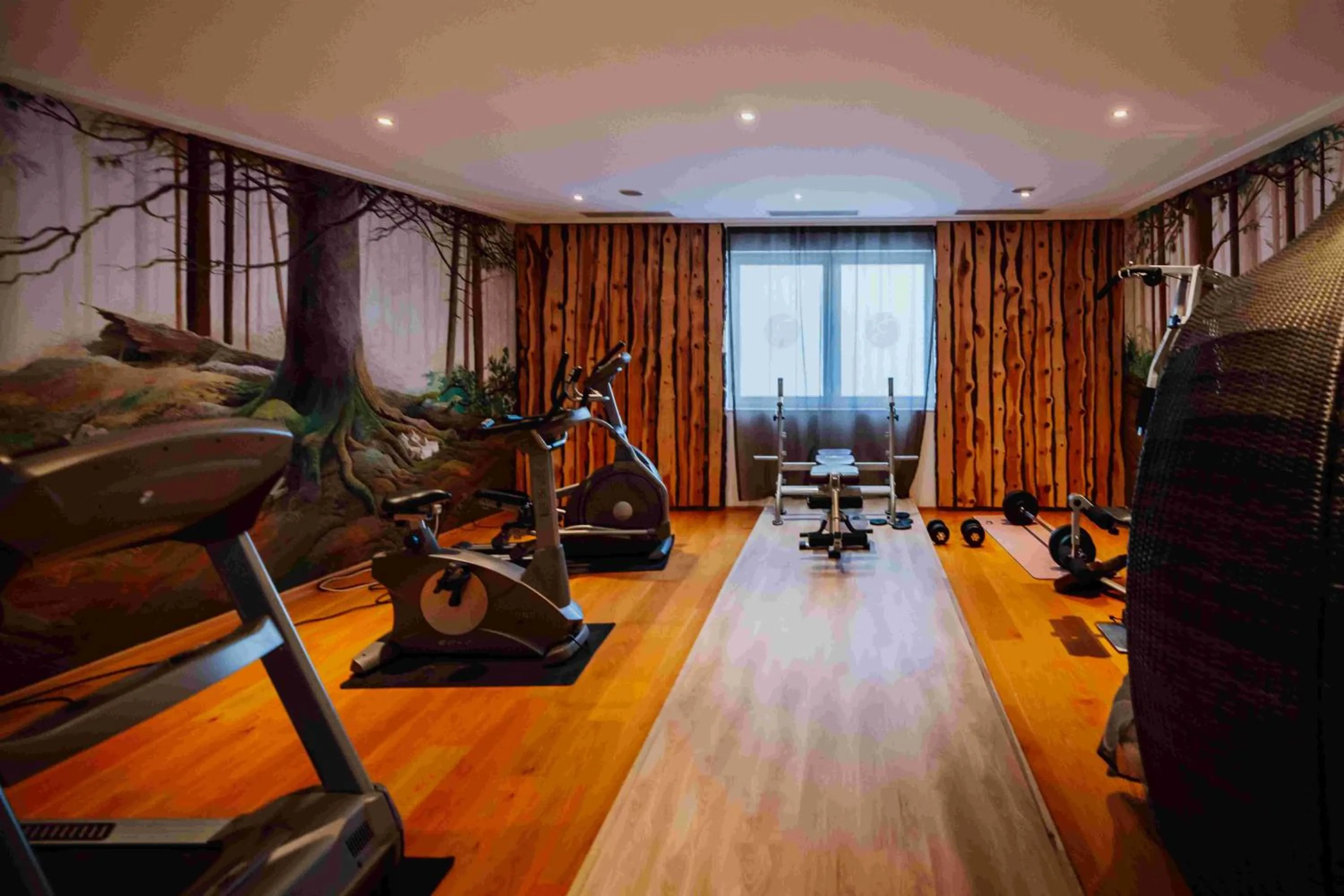 Fitness centre/facilities in Hotel in the HEART of the Alps