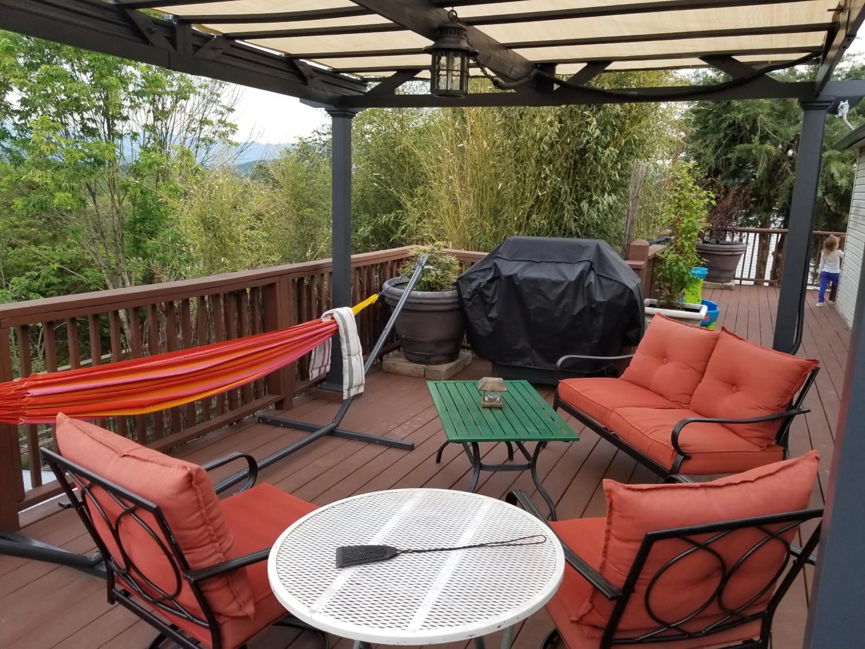 BBQ facilities in Private Pet Friendly Home Near Exotic Deer Farm Close to Pigeon Forge, Gatlinburg TN