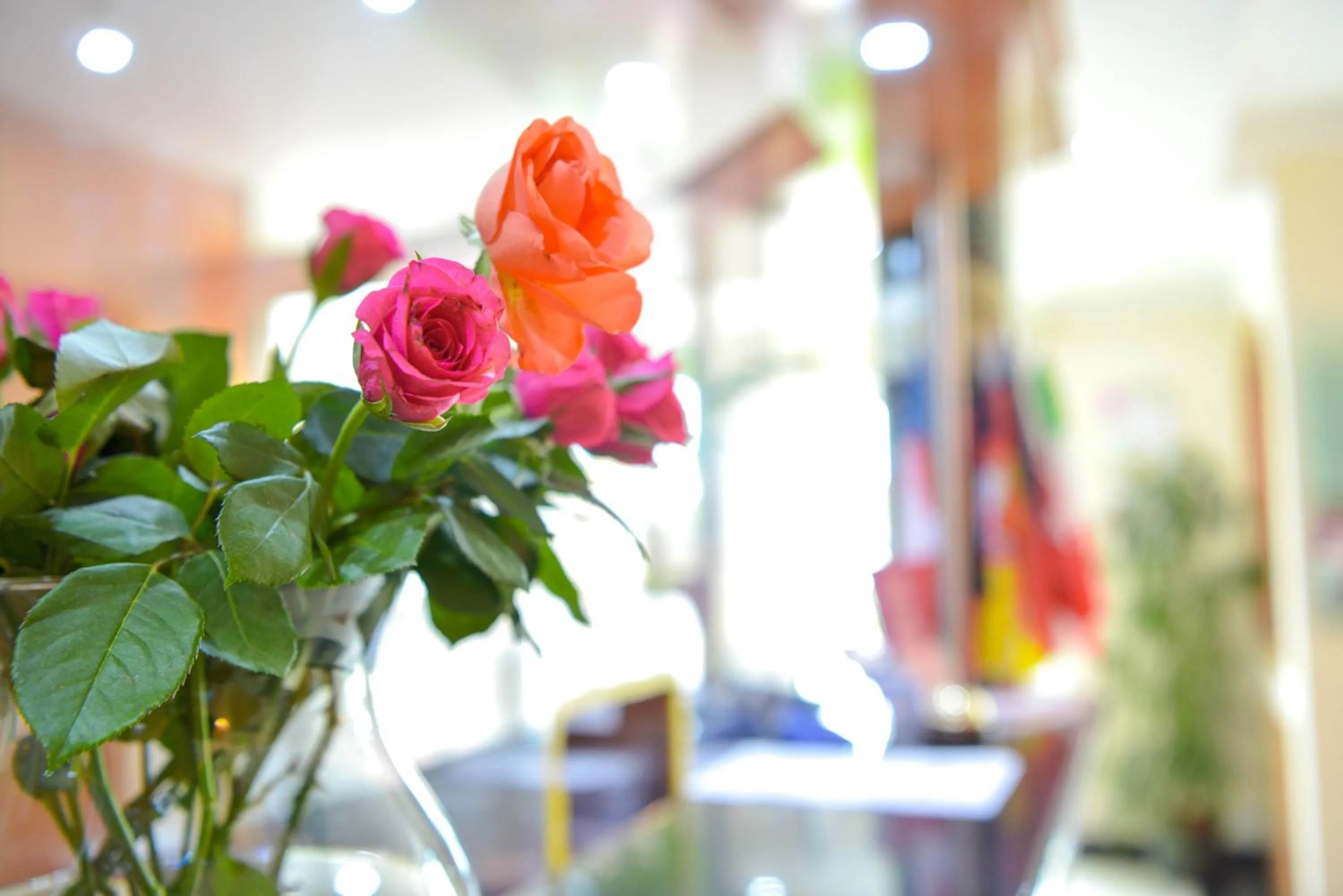 Decorative detail in Hotel Opal