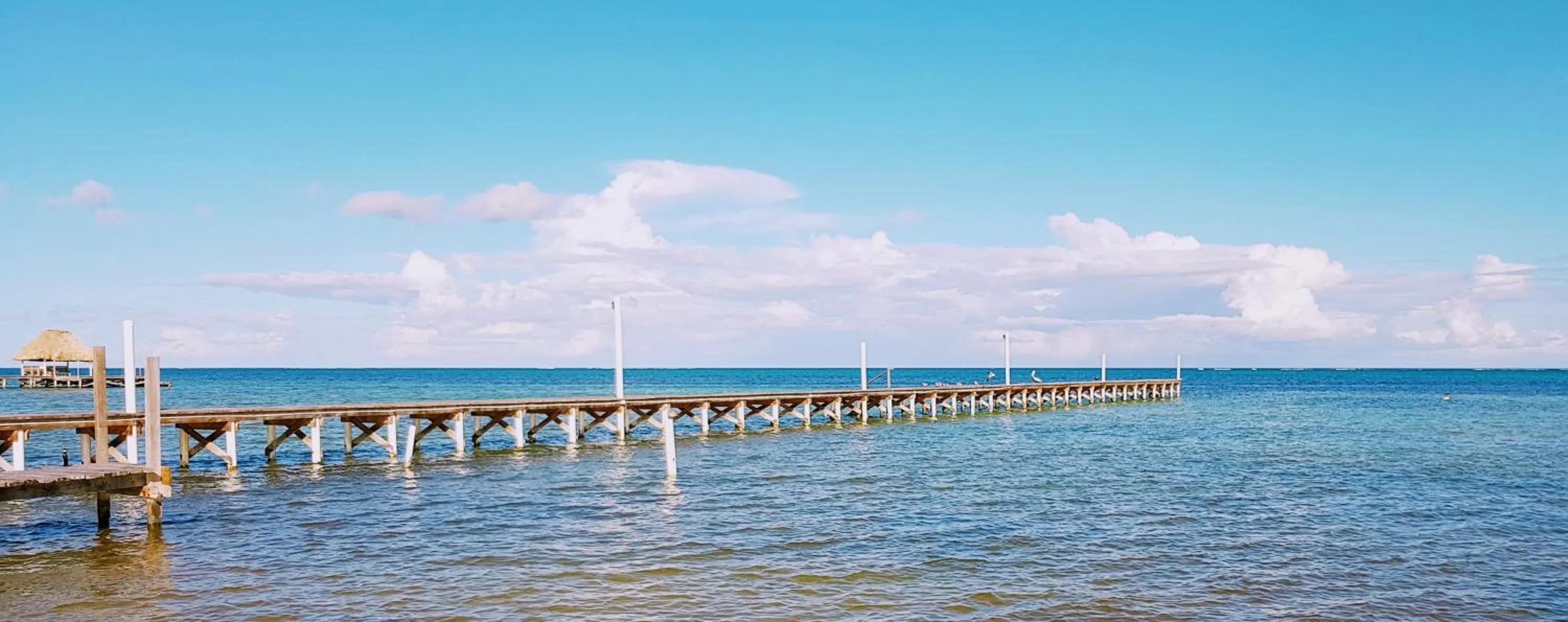 View (from property/room) in Royal Caribbean Resort