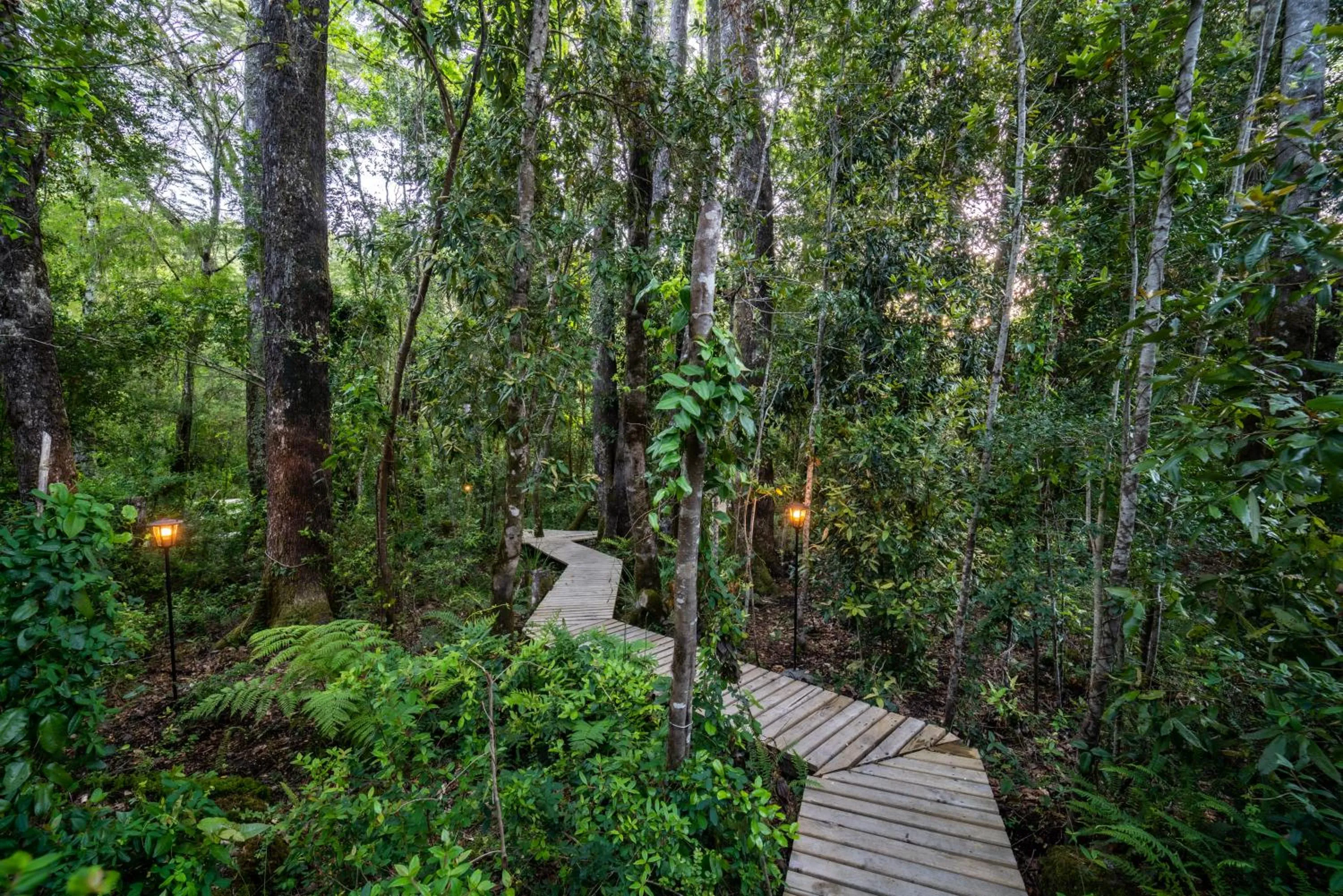 Patio in Rakau Lodge