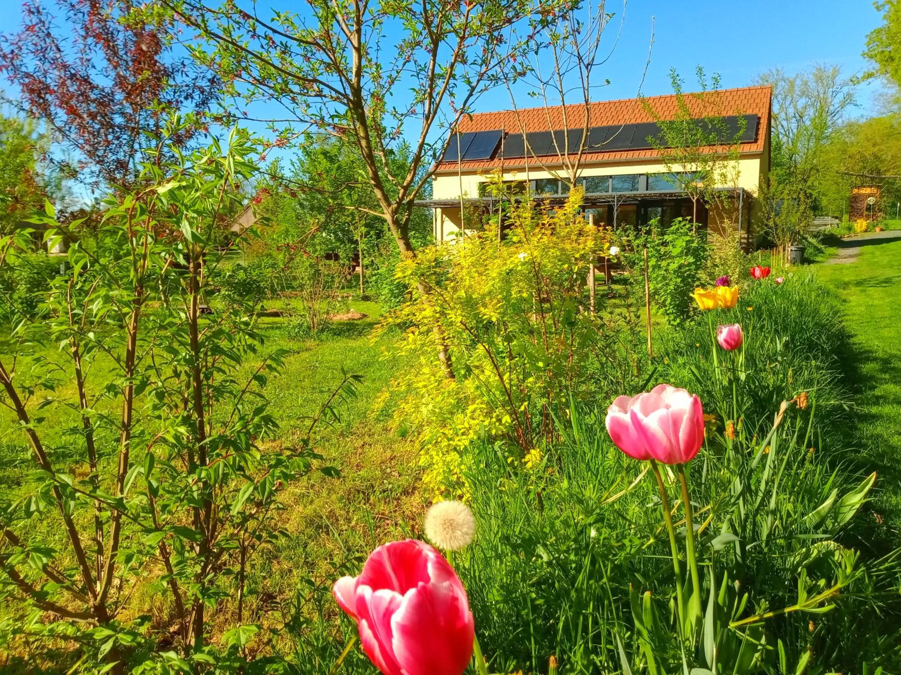 Garden view in Le Baugyte - Gite de GROUPE - 14 lits simples