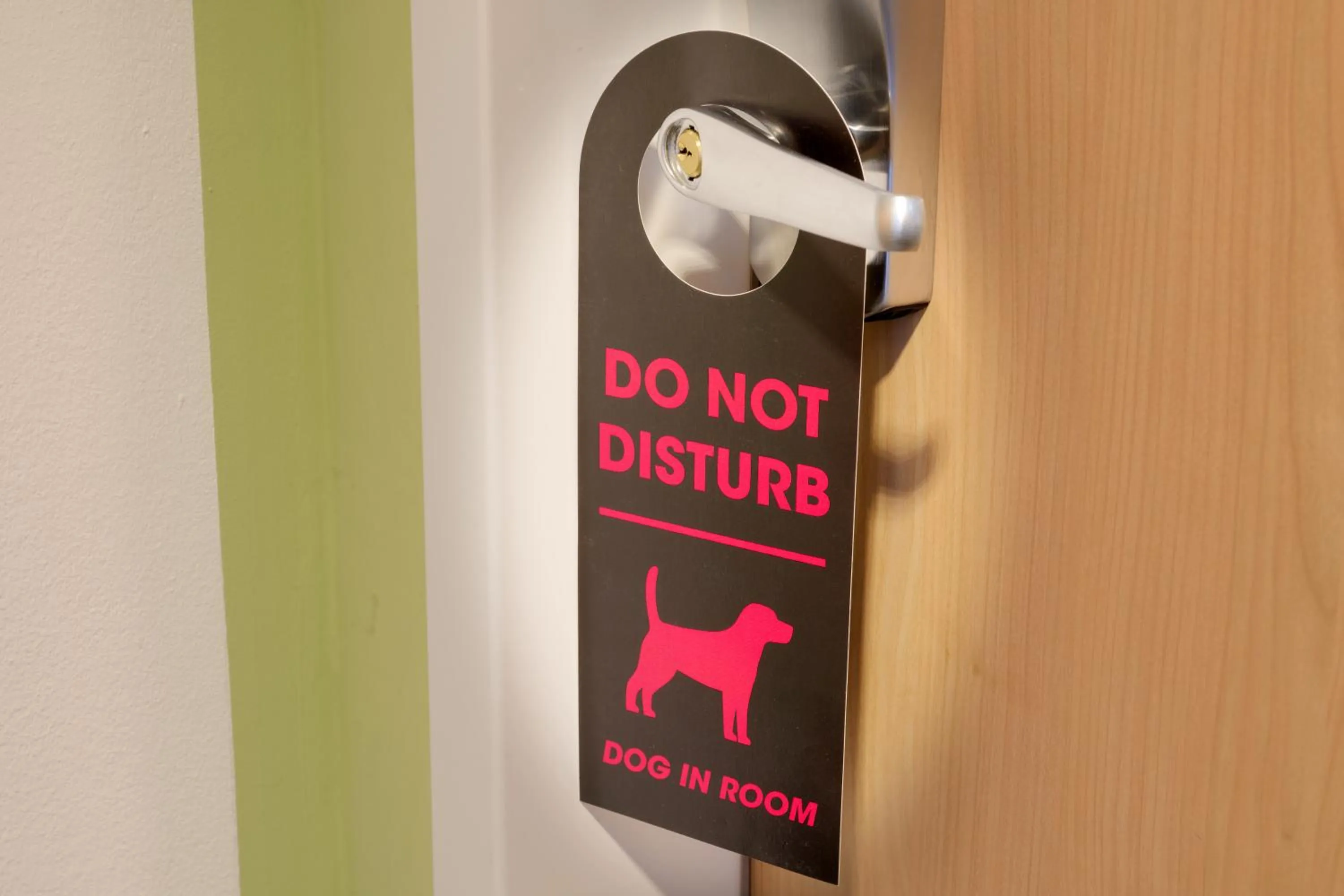 Animals in ibis budget Hotel BONN SÜD Königswinter