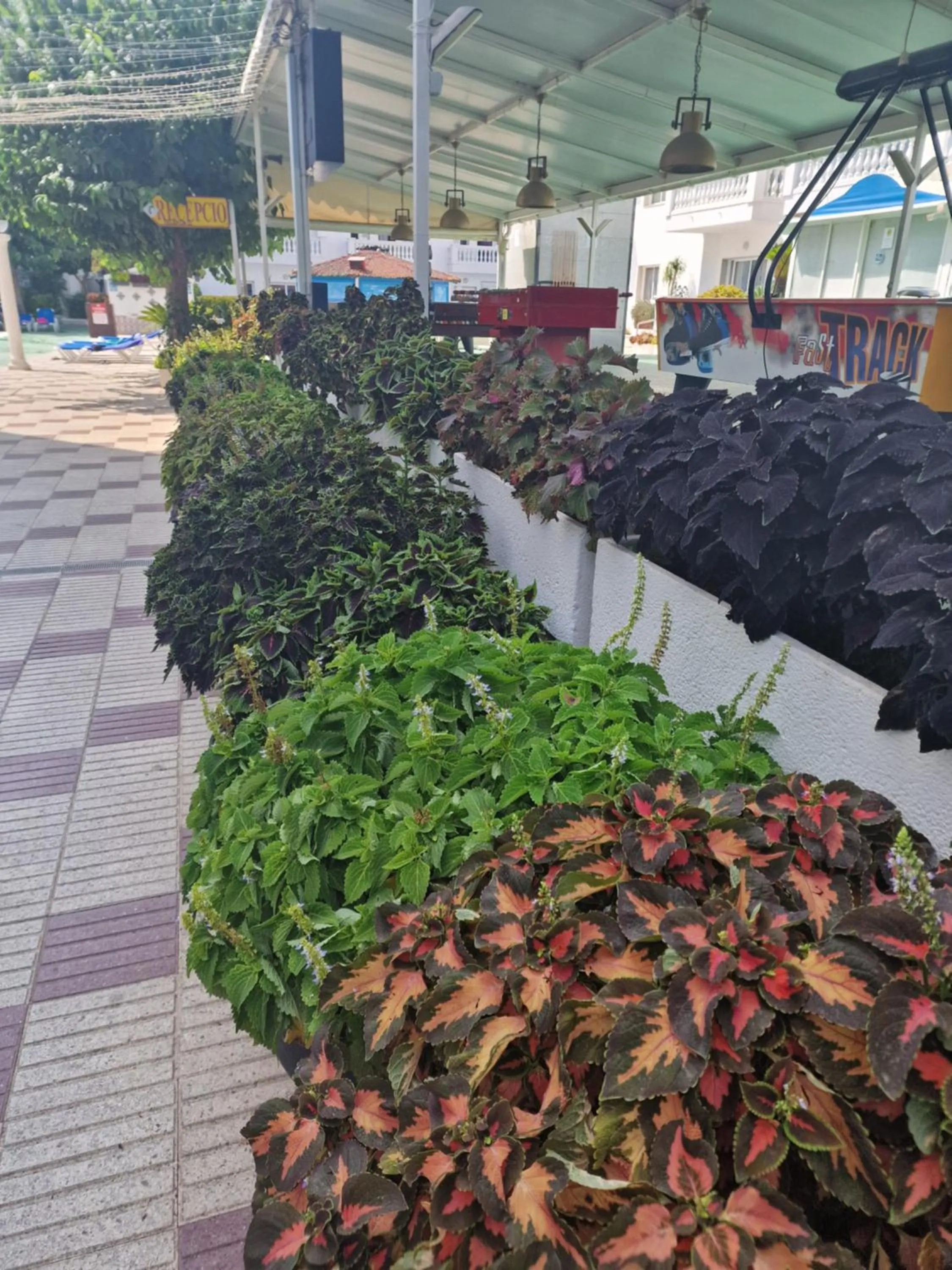 Europa Family Apartments