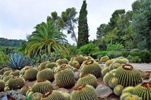 Europa Family Apartments