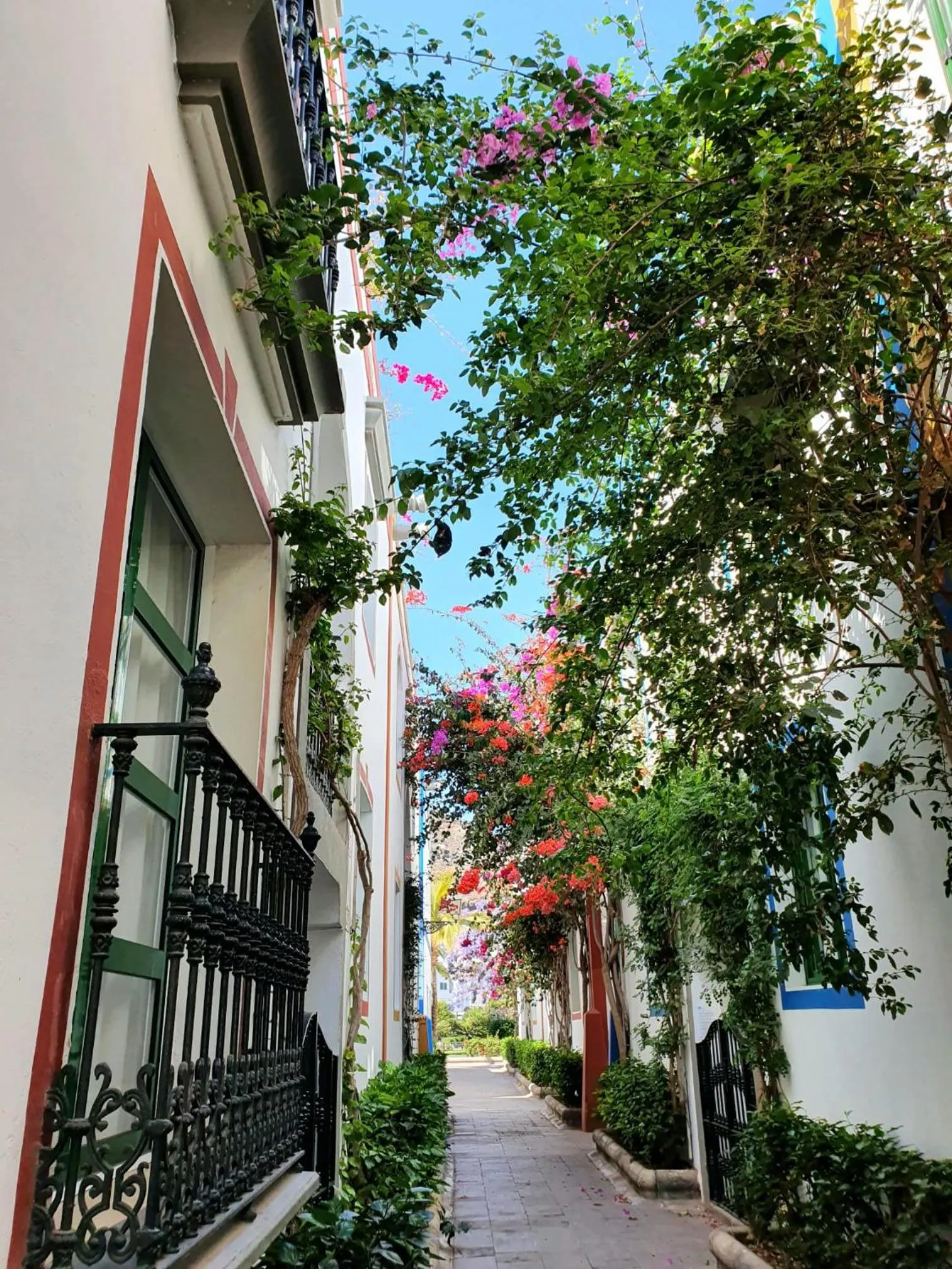 Balcony/Terrace in Billy's Puerto de Mogán Apartments by LIVVO