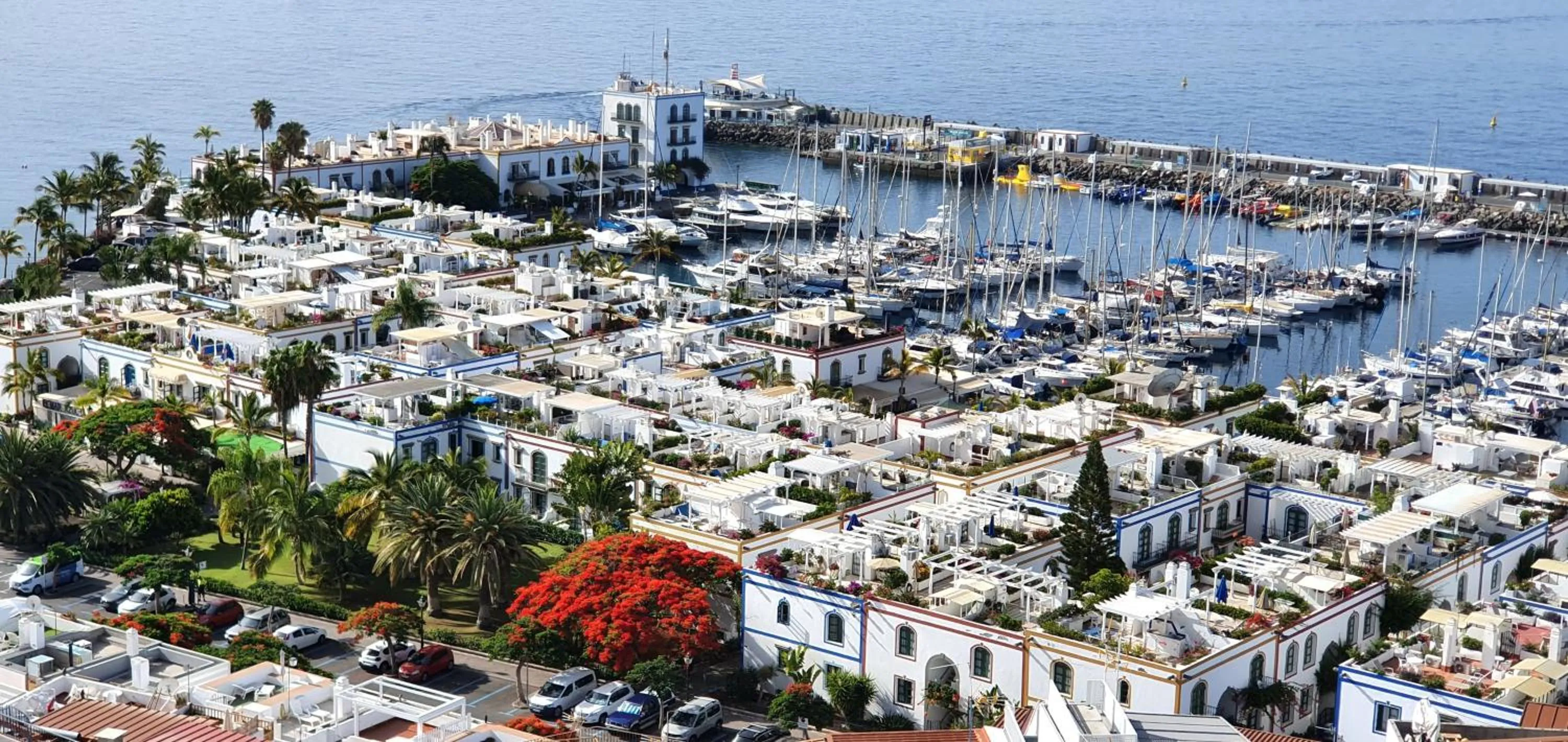 Area and facilities in Billy's Puerto de Mogán Apartments by LIVVO