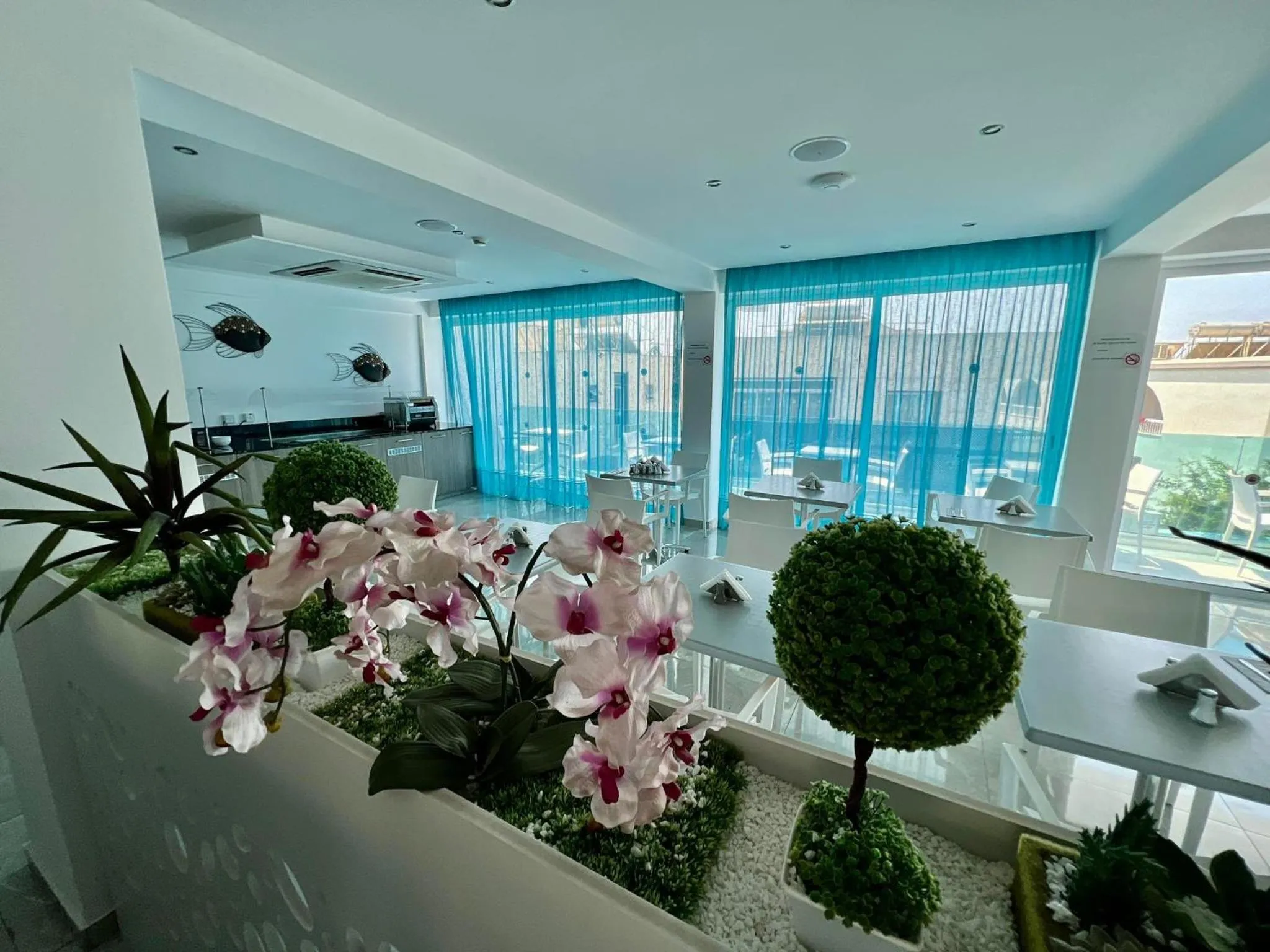 Restaurant/places to eat in Sunny Blue Hotel