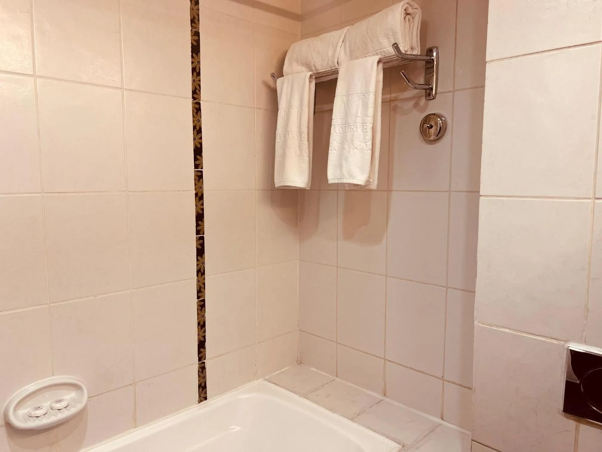 Shower in Inter Luxury Hotel