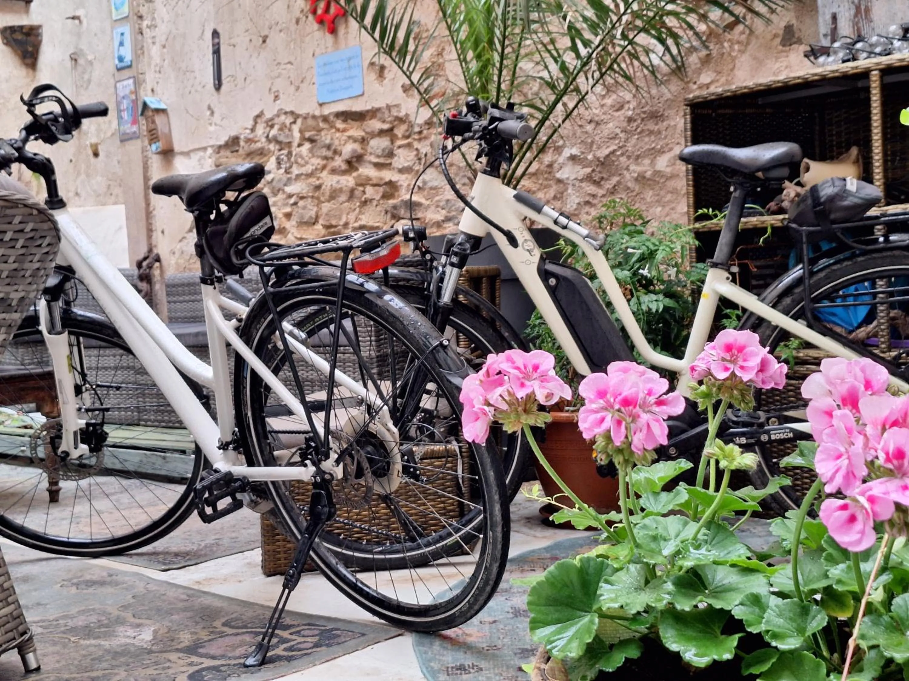 Maison du Coquelicot