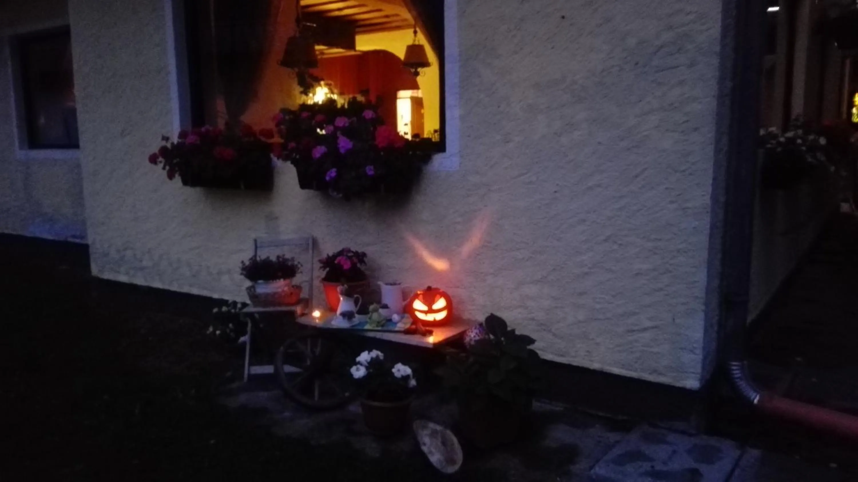 Apartment House Seerose self check-in