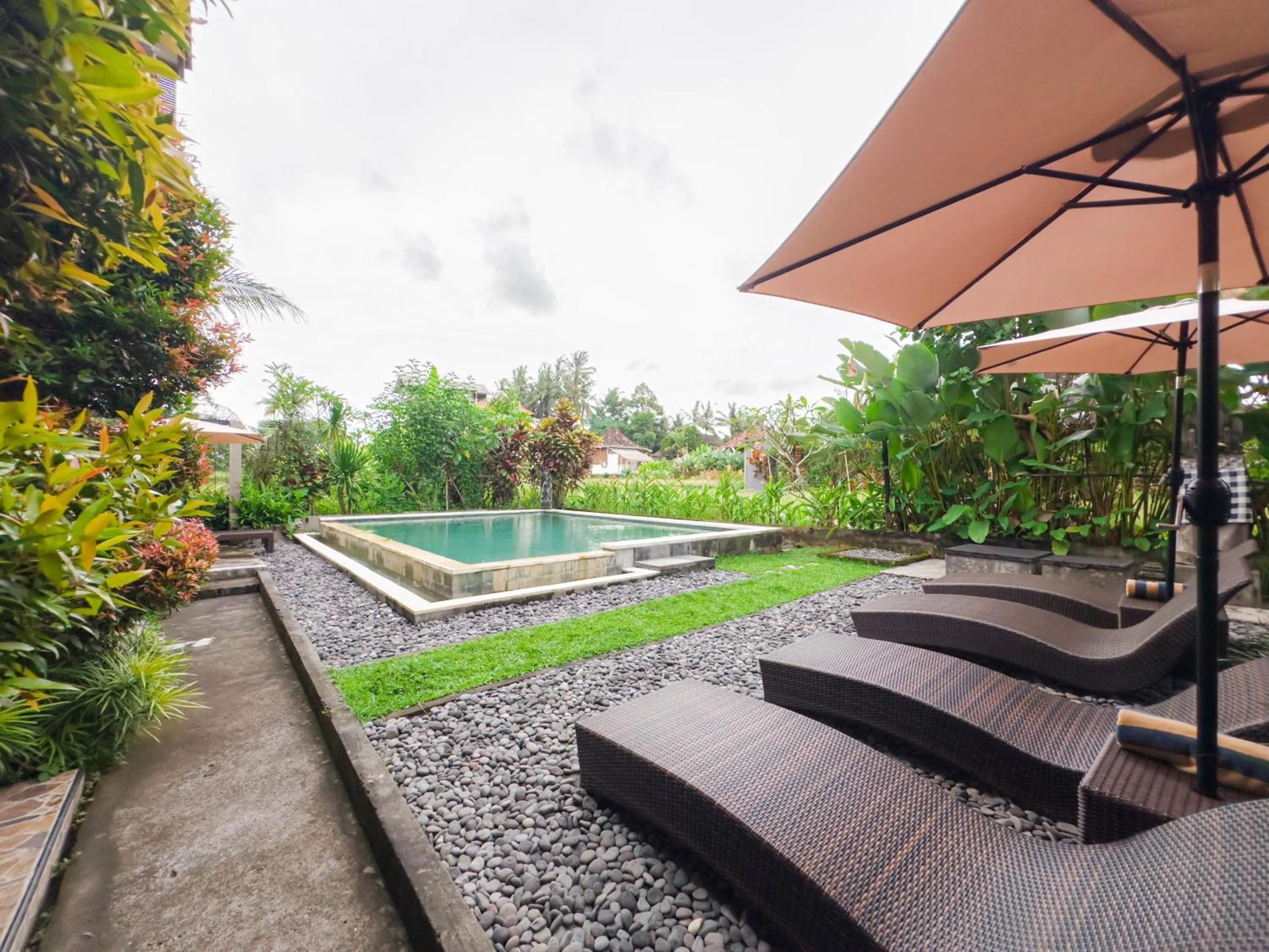 Swimming pool in Ubud Shanti Rice Field House By Supala