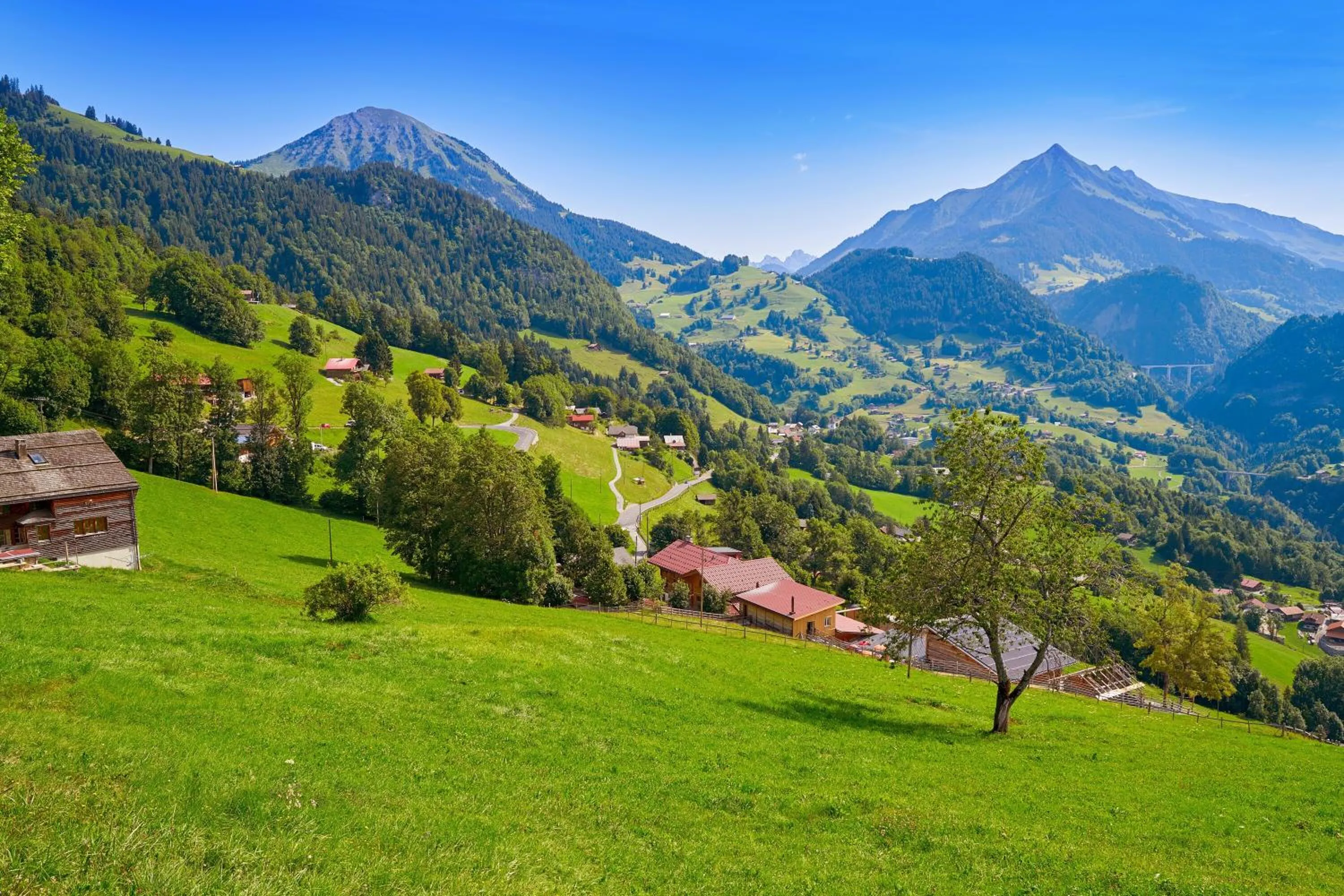 Other in Hotel Relais Alpin