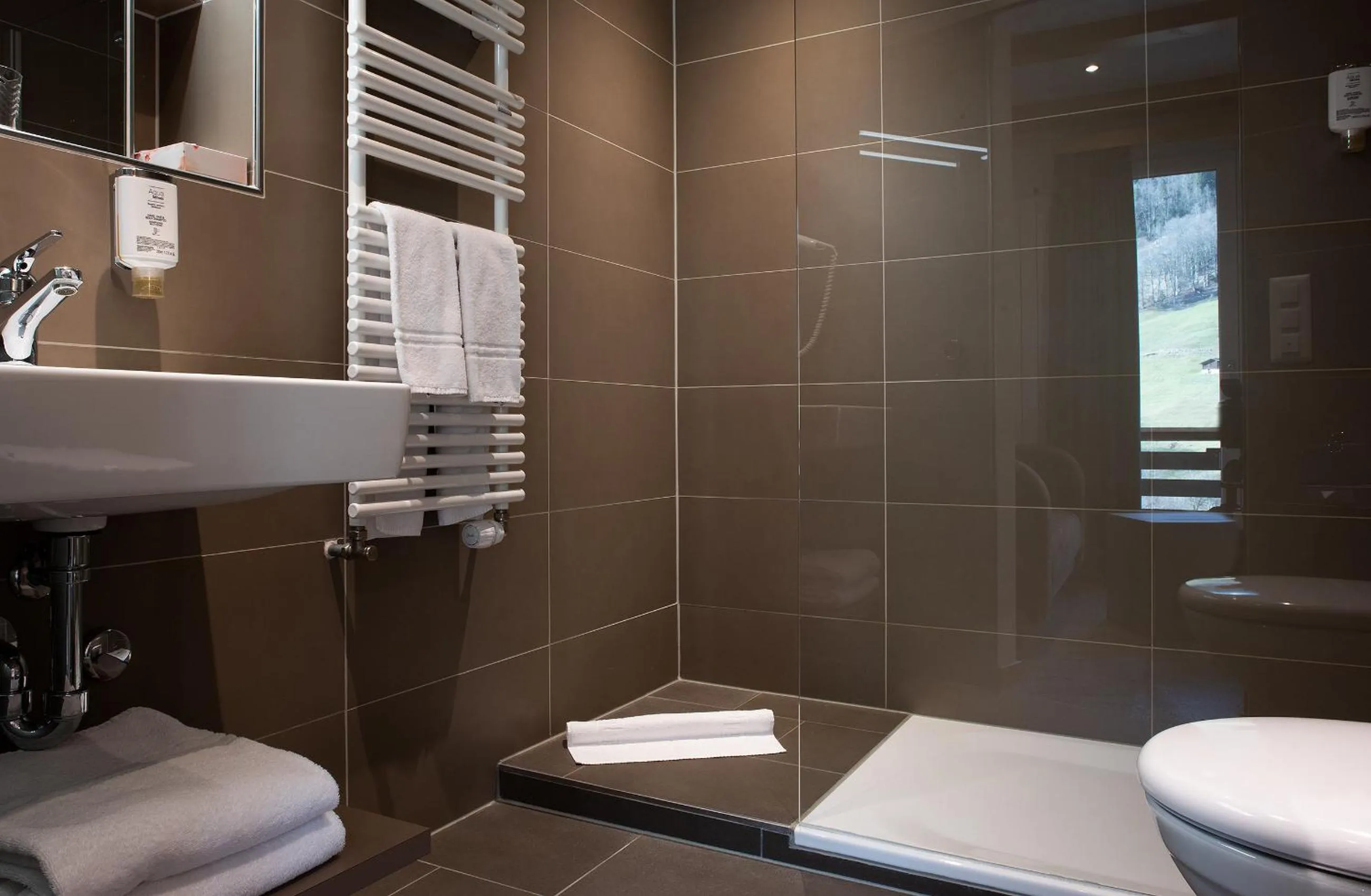 Bathroom in Hotel Silberhorn