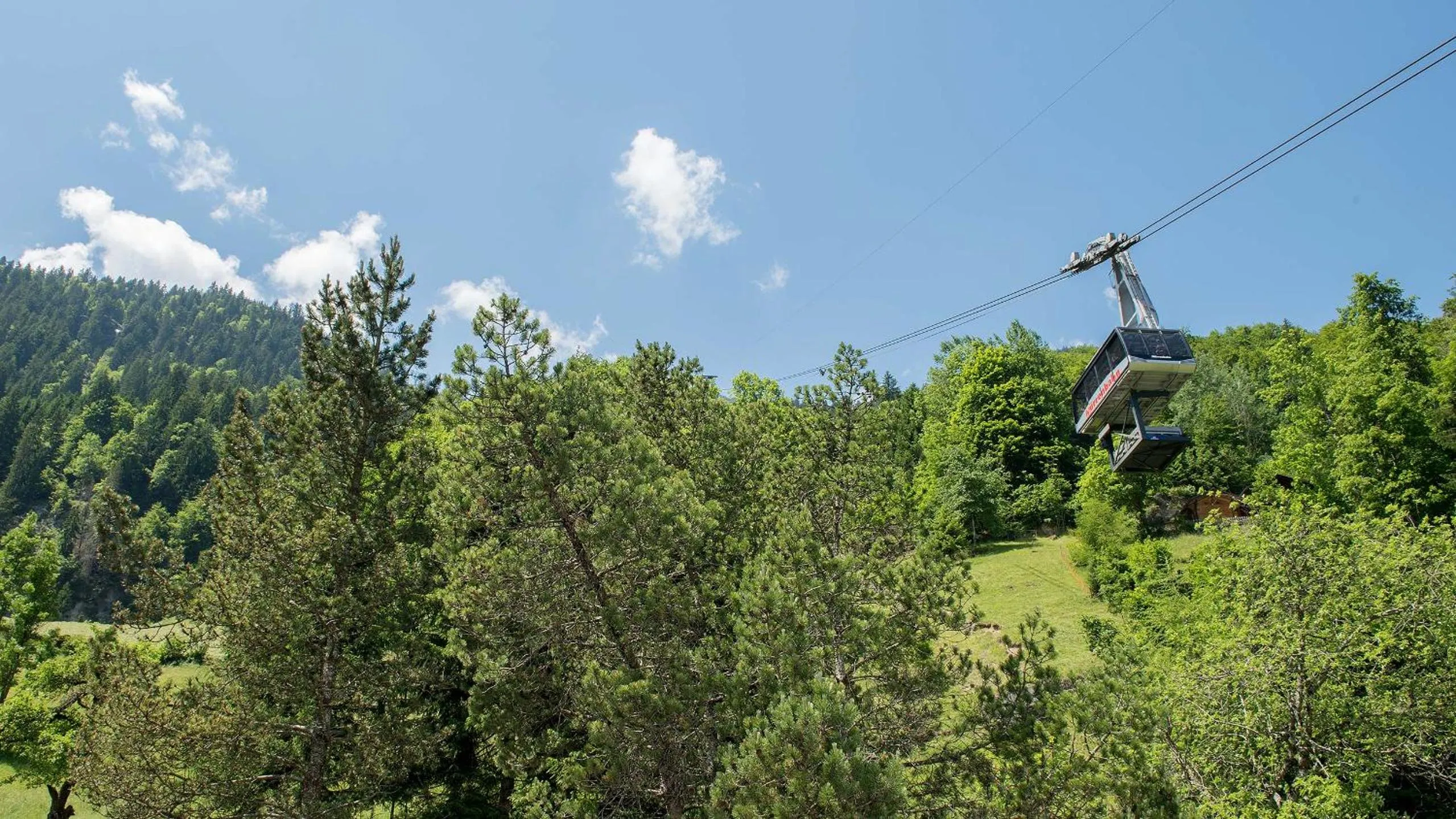 Natural landscape in Hotel Silberhorn