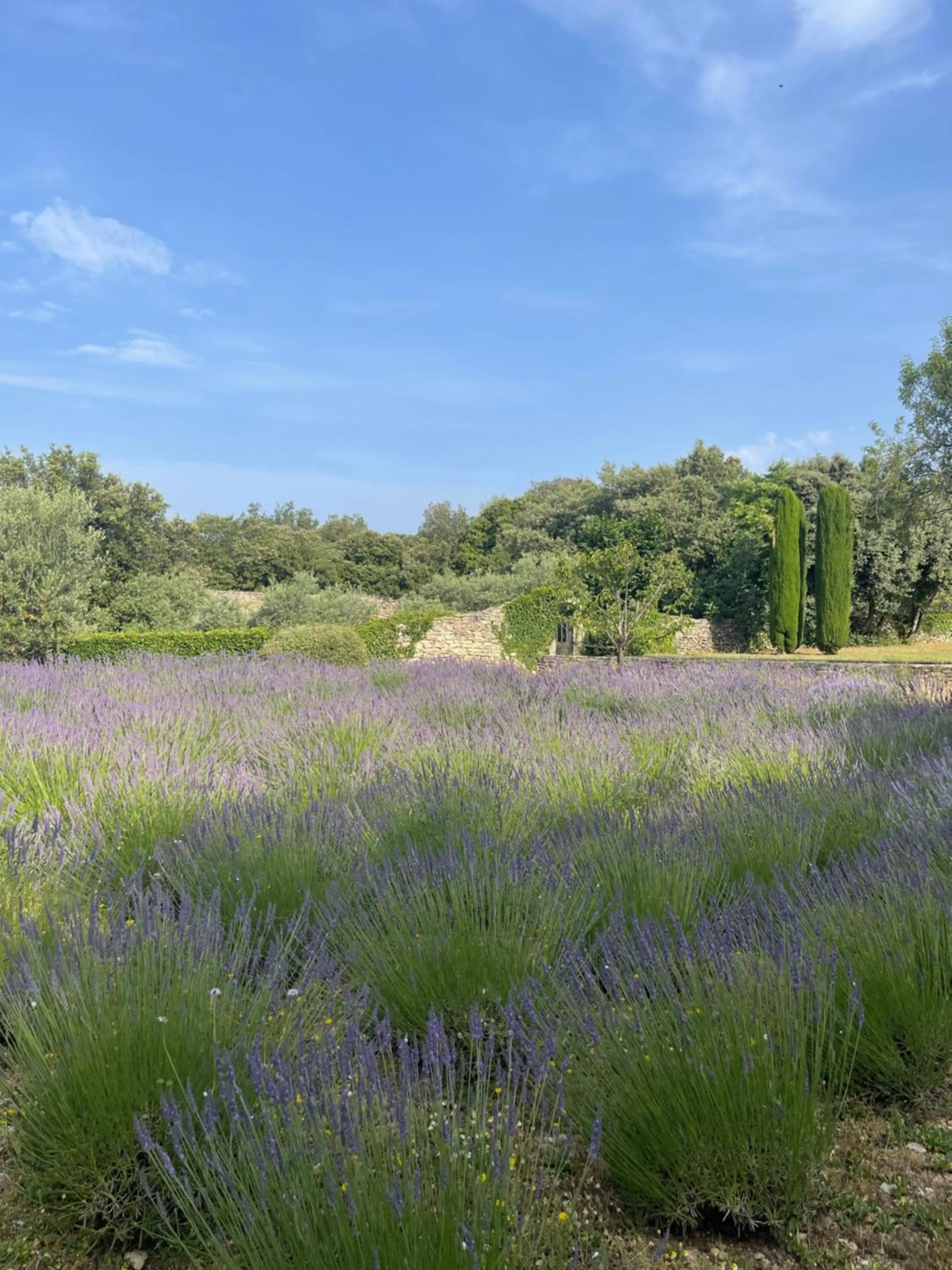 Garden in Le Mas de Béthel