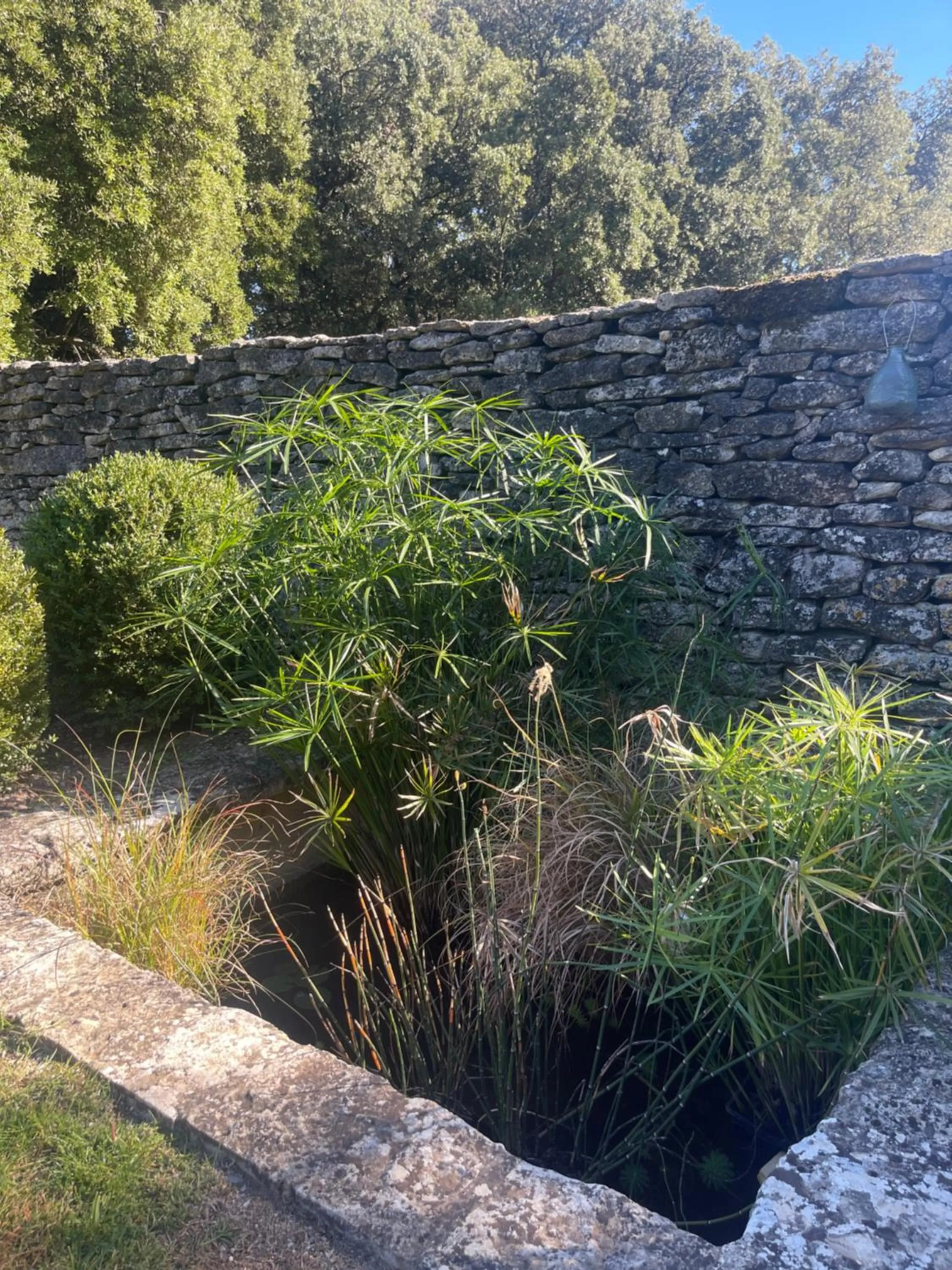 Swimming pool in Le Mas de Béthel