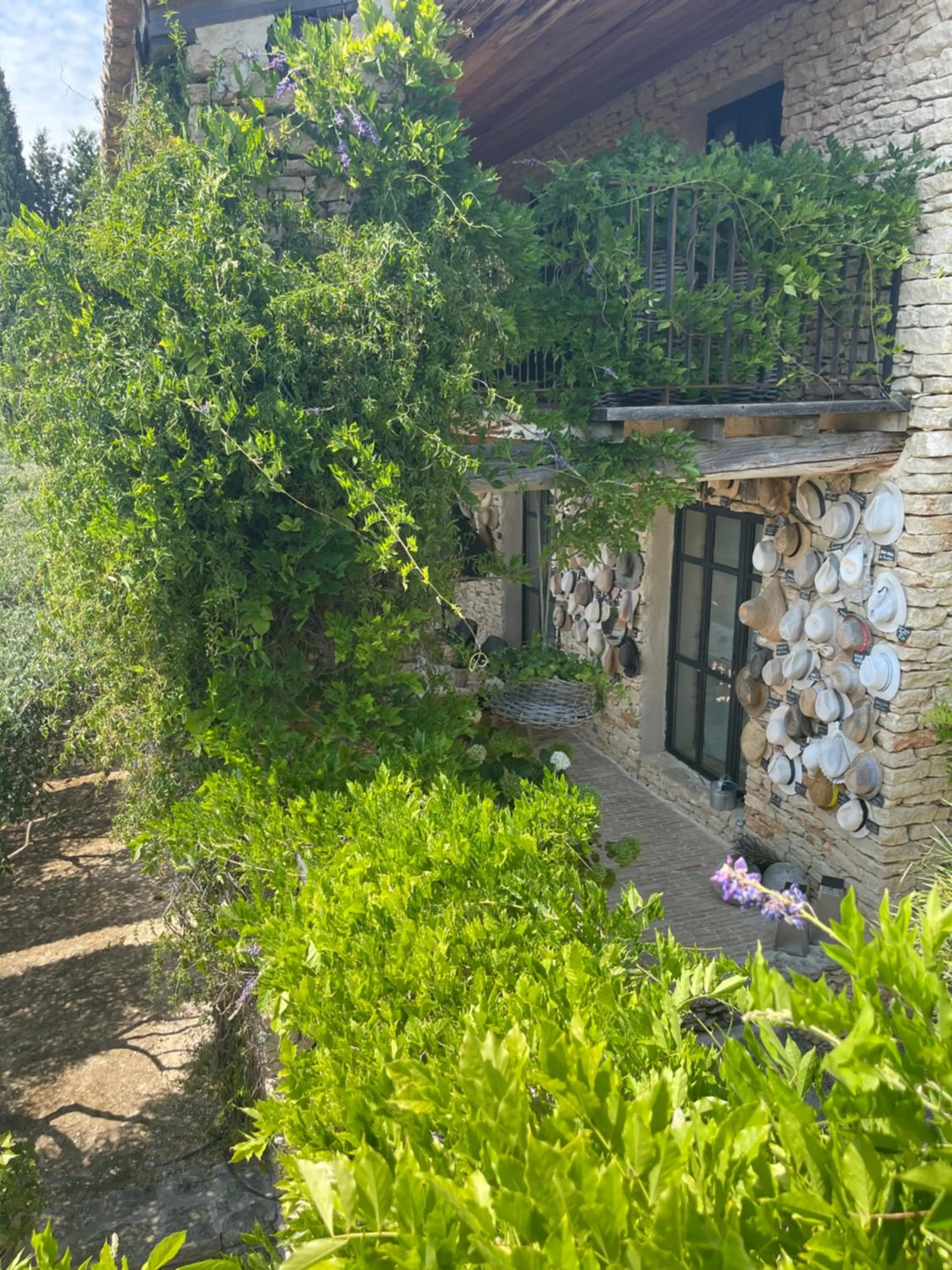 Garden in Le Mas de Béthel