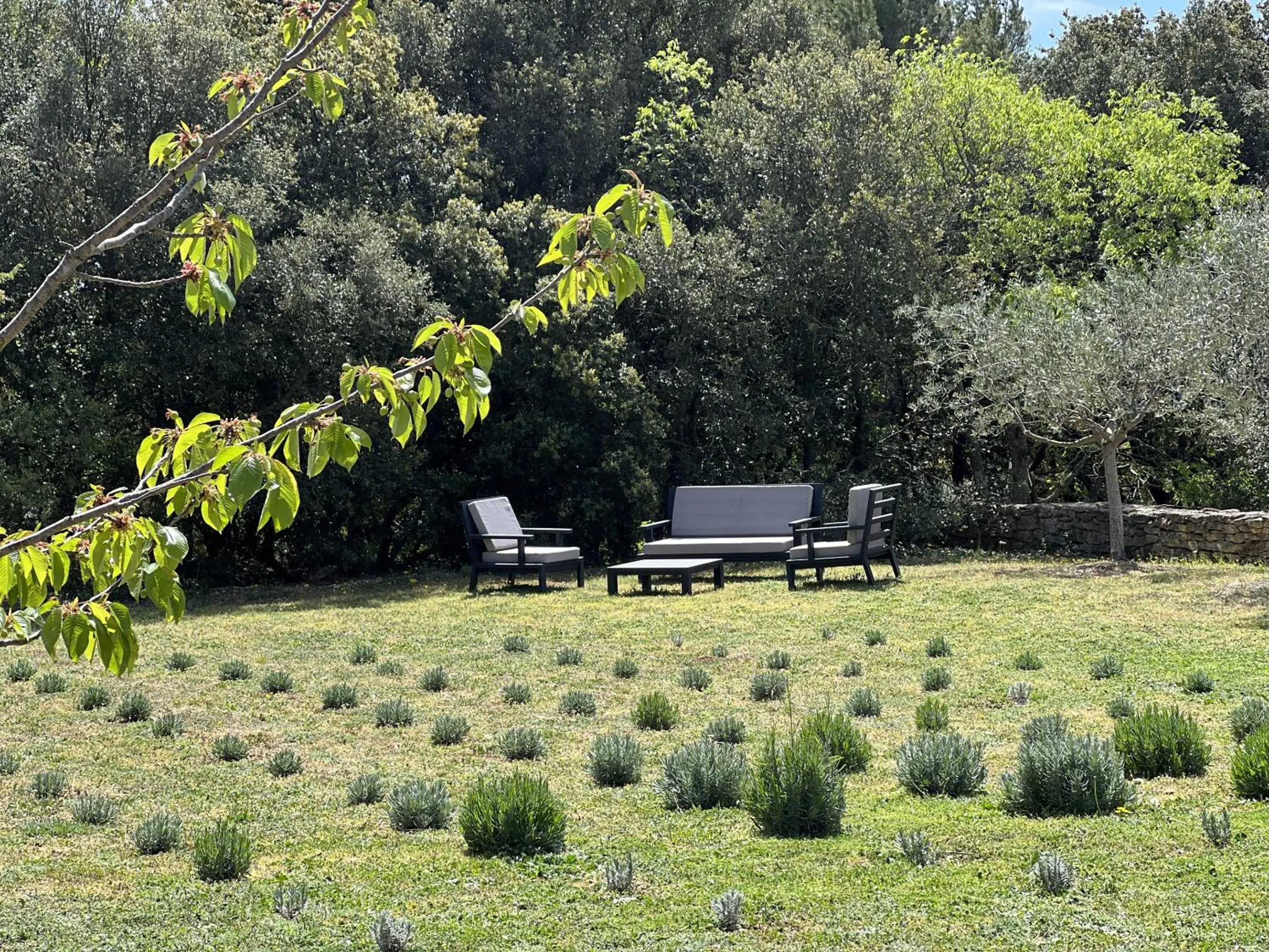 Garden in Le Mas de Béthel