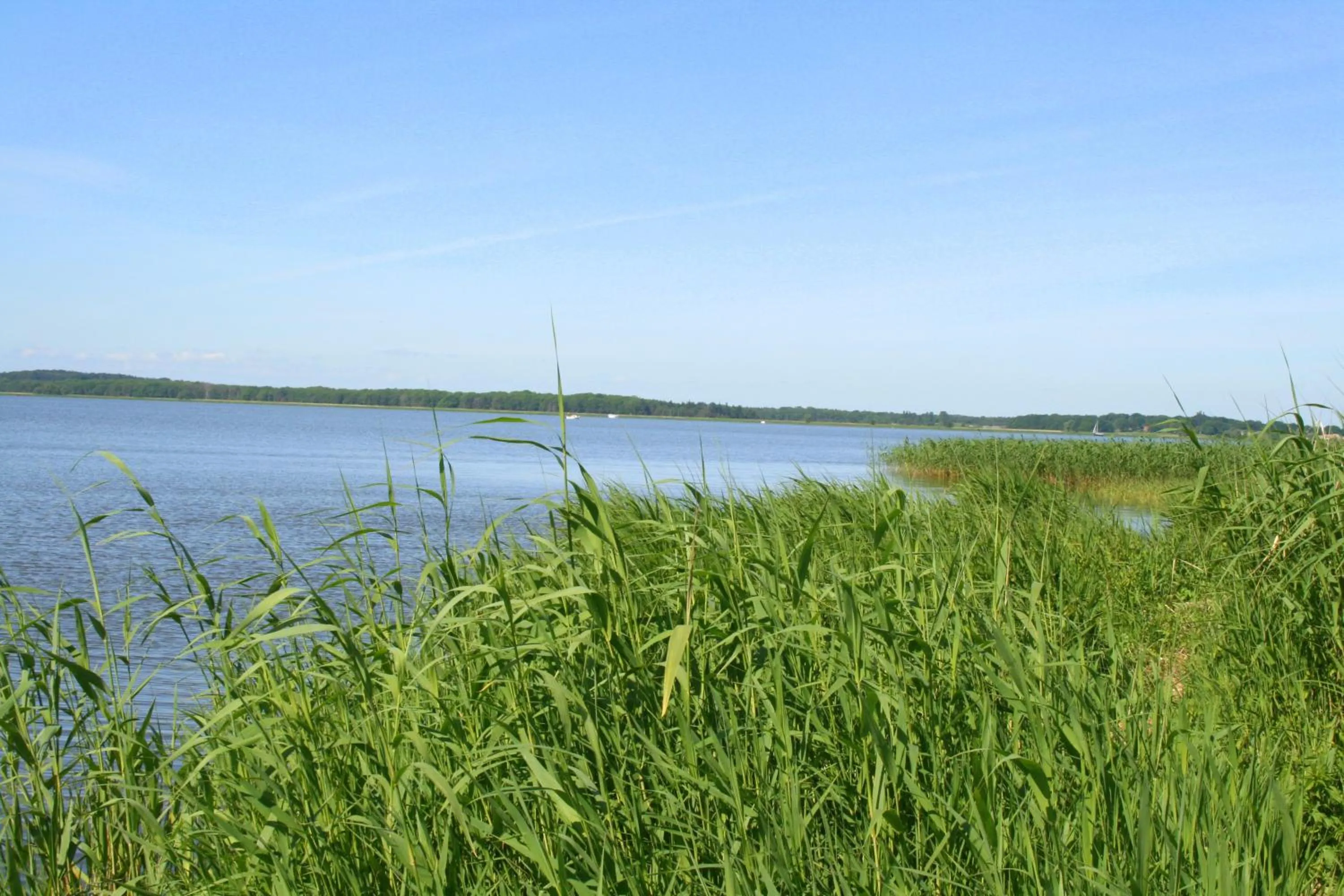 Natural landscape in Inselhof Vineta