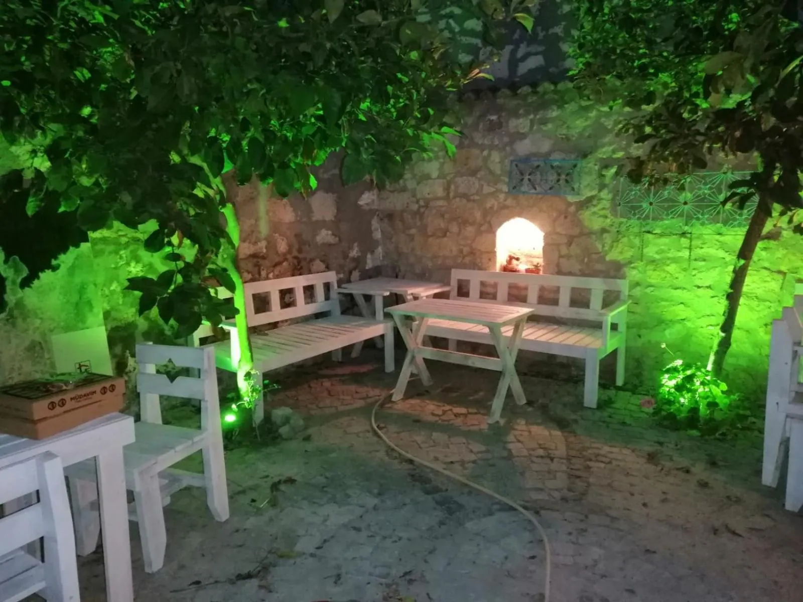 Patio in kaktüshan otel
