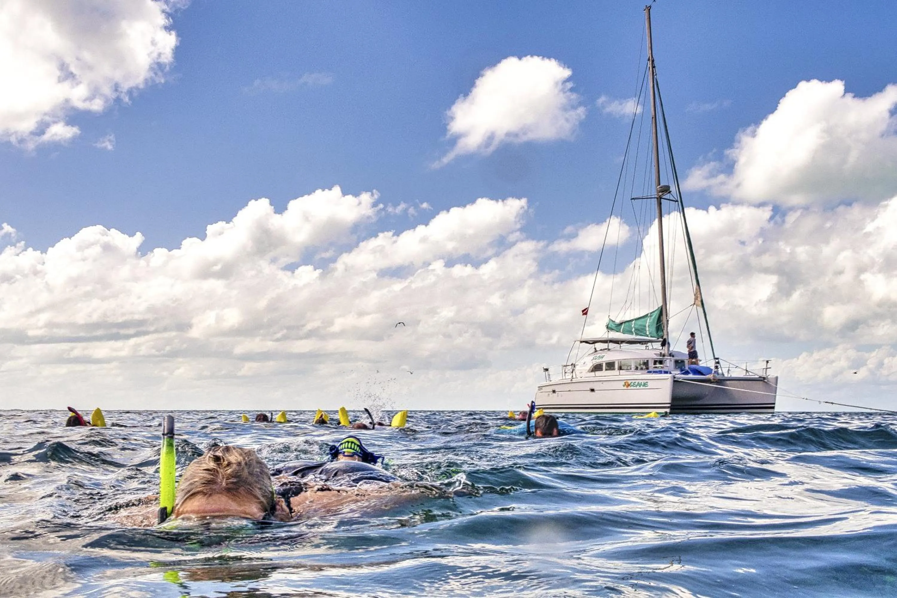 Day in Tara Del Sol Resort