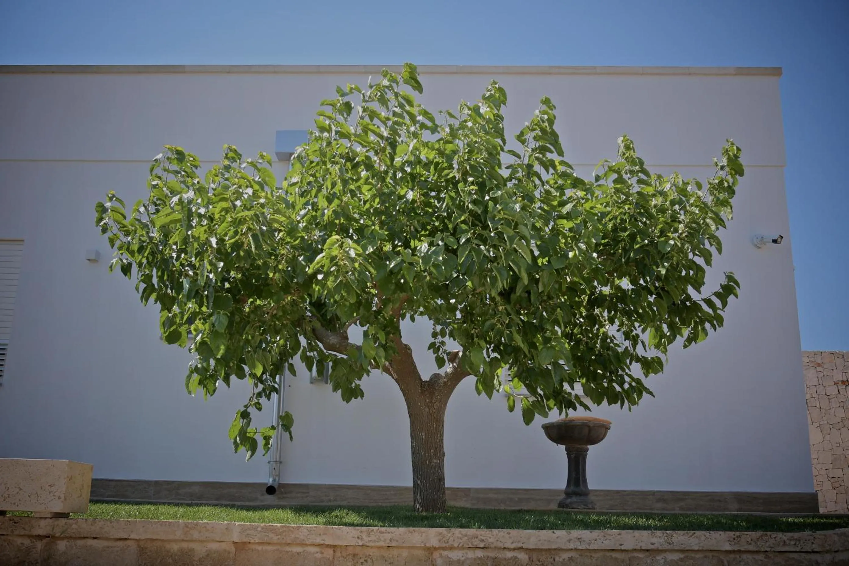 Natural landscape in B&B CASA CALETA