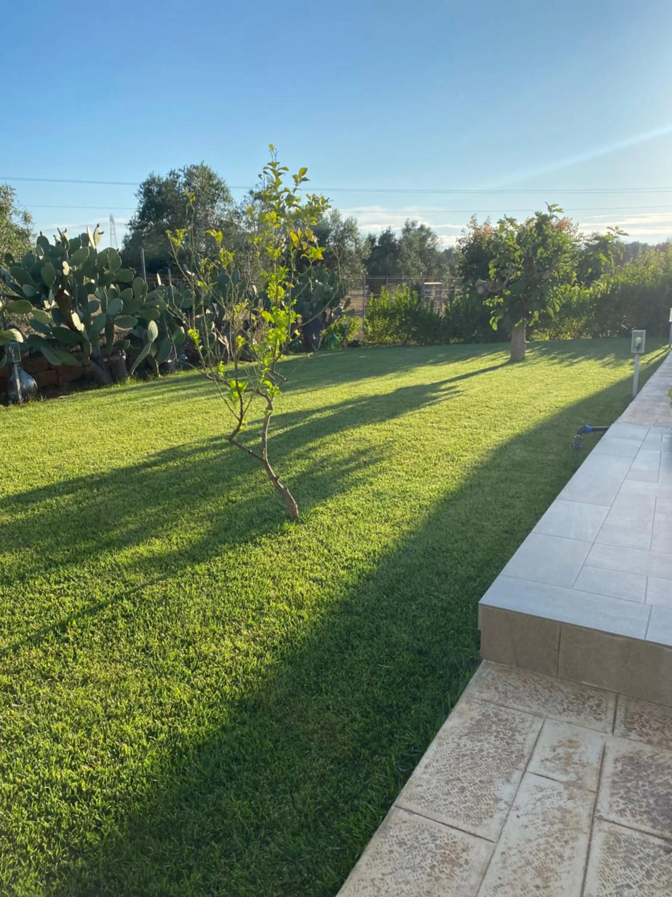 Day in B&B CASA CALETA