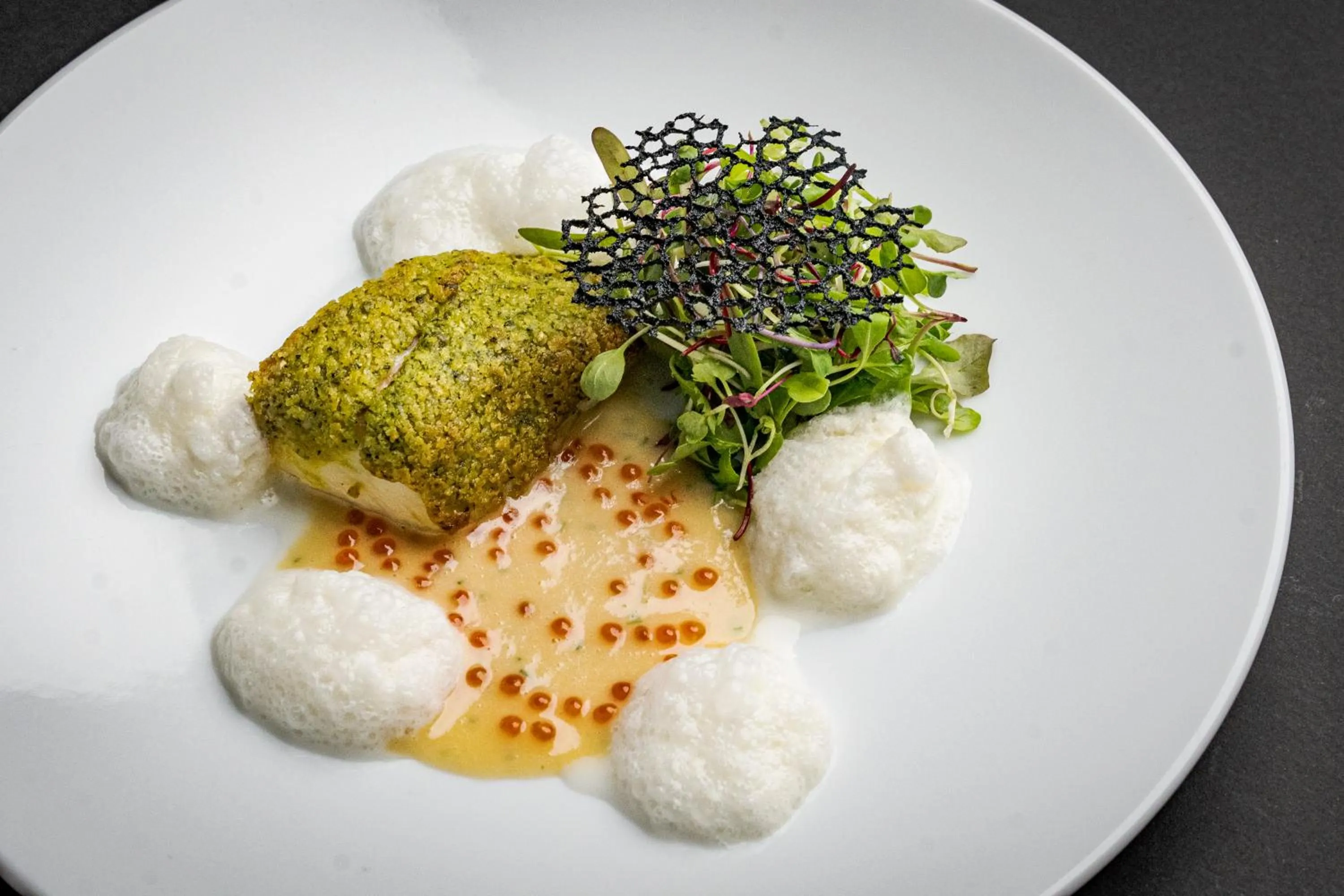 Dinner in XYZ speciale